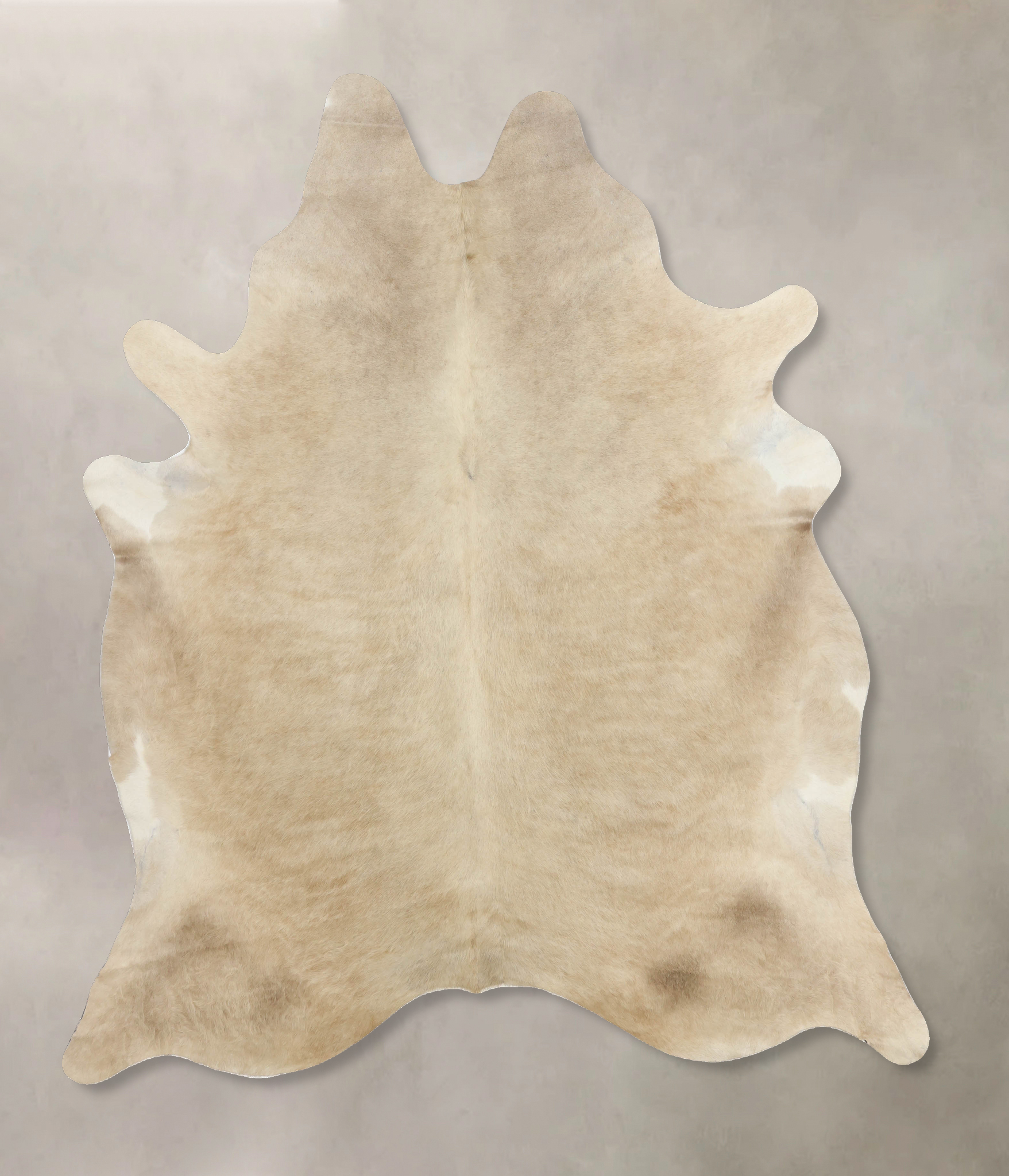 Champagne Cowhide Rug #B9933