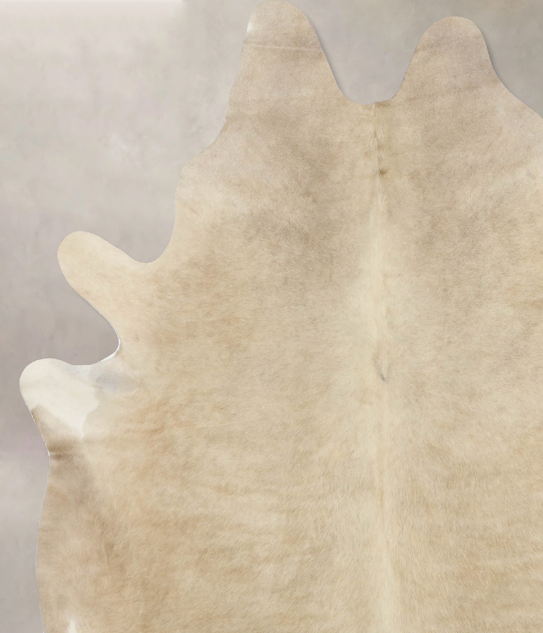 Champagne Cowhide Rug #B9933