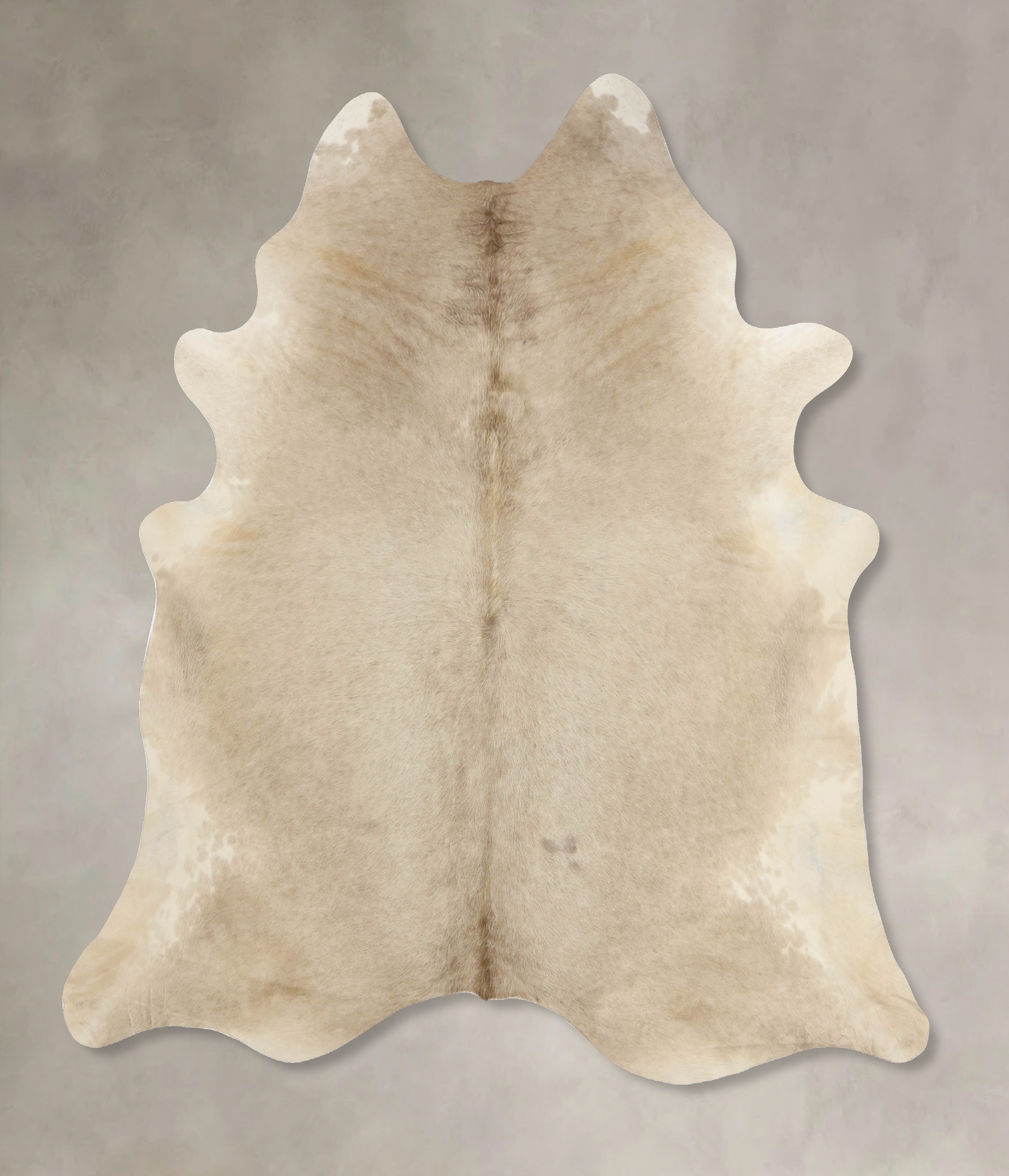 Champagne Cowhide Rug #B9955