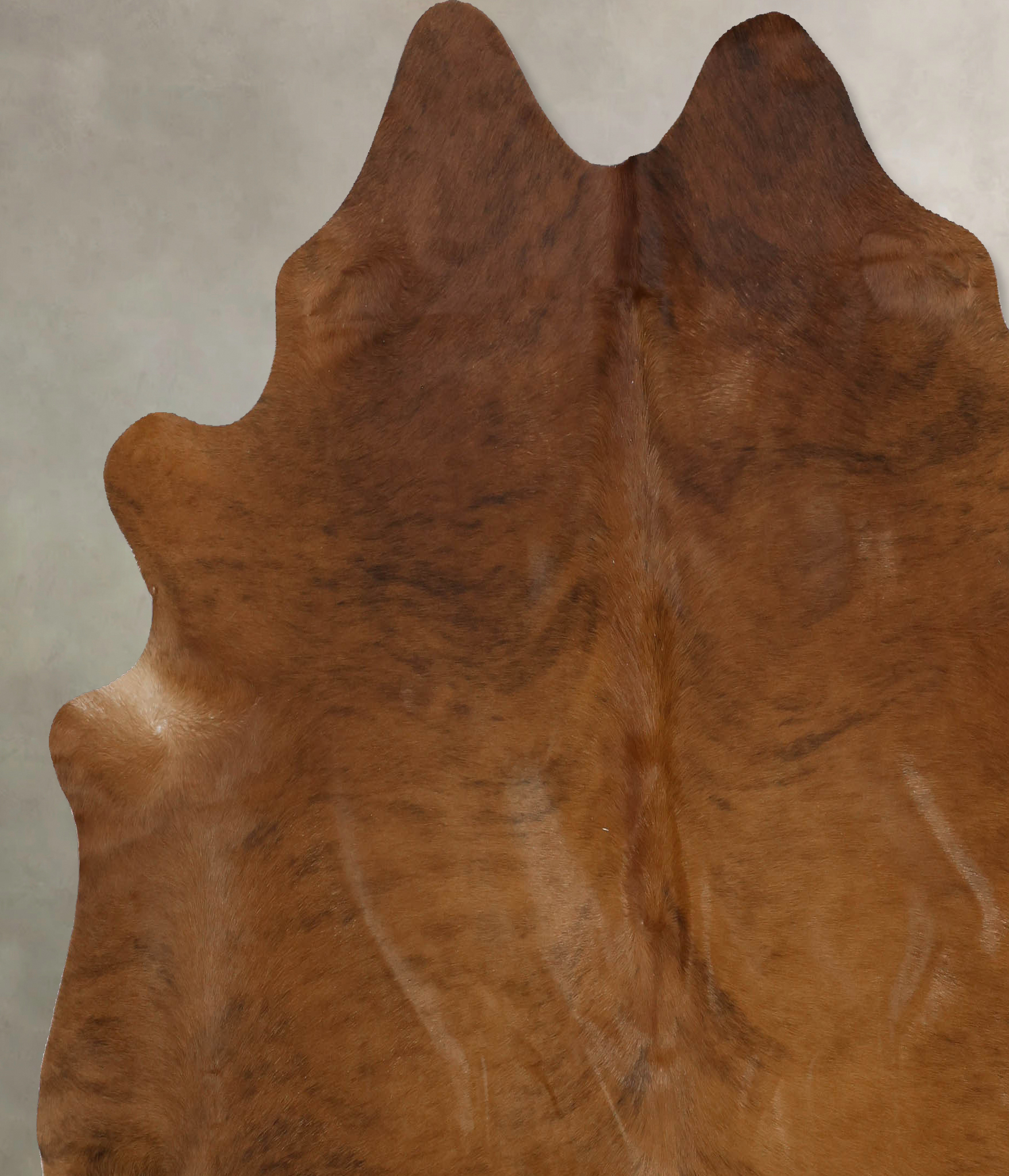 Medium Brindle Cowhide Rug #B9984