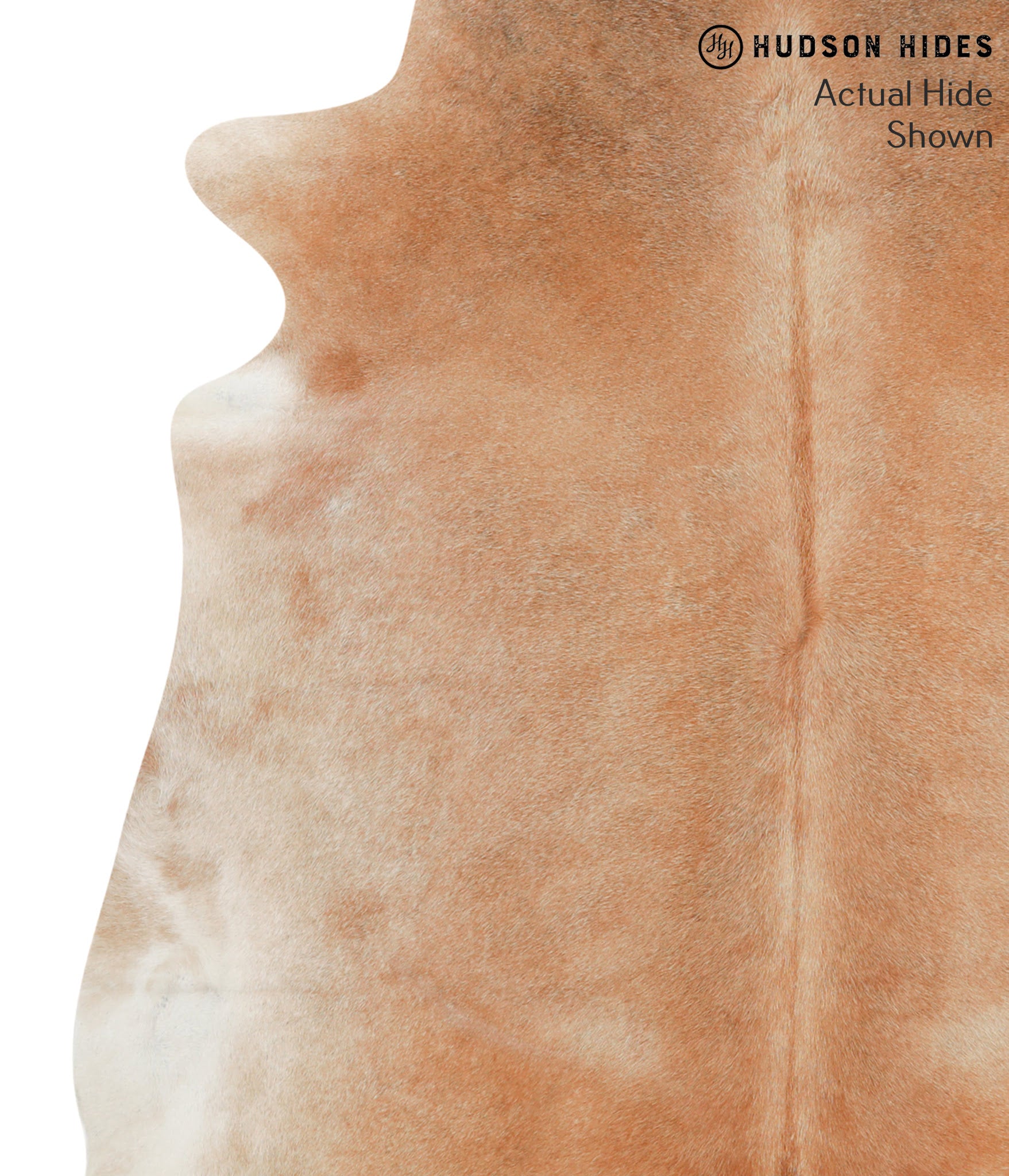 Caramel Cowhide Rug #40383