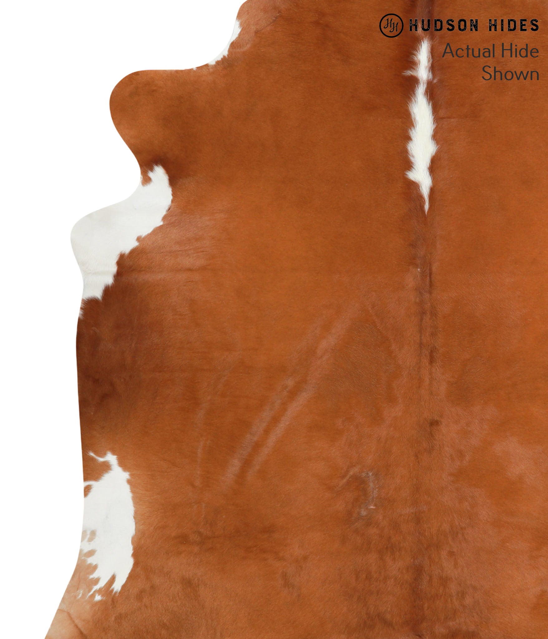 Brown and White Regular Cowhide Rug #40791