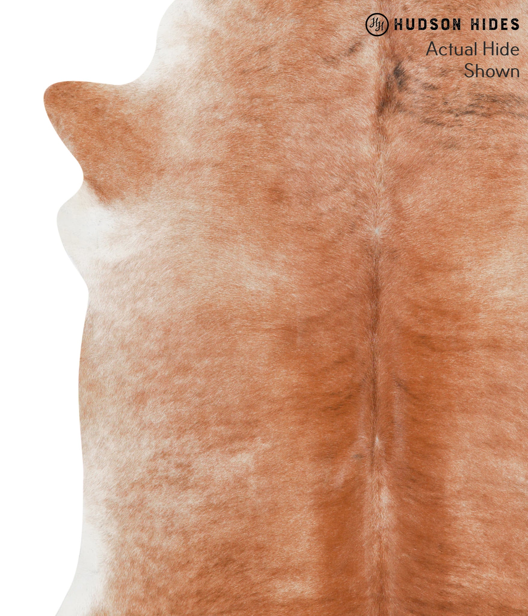 Caramel Cowhide Rug #41951