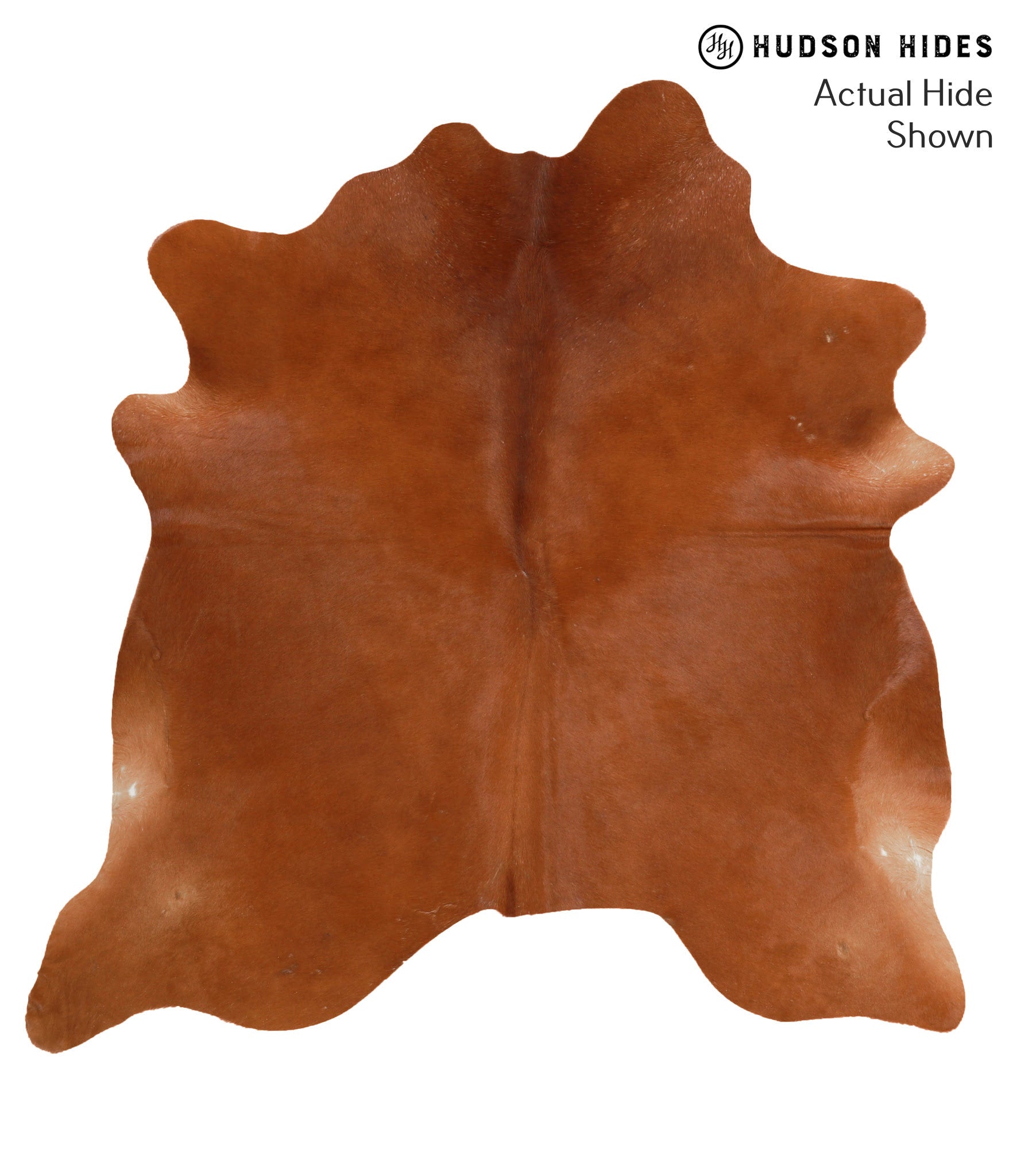 Chocolate Cowhide Rug #50254