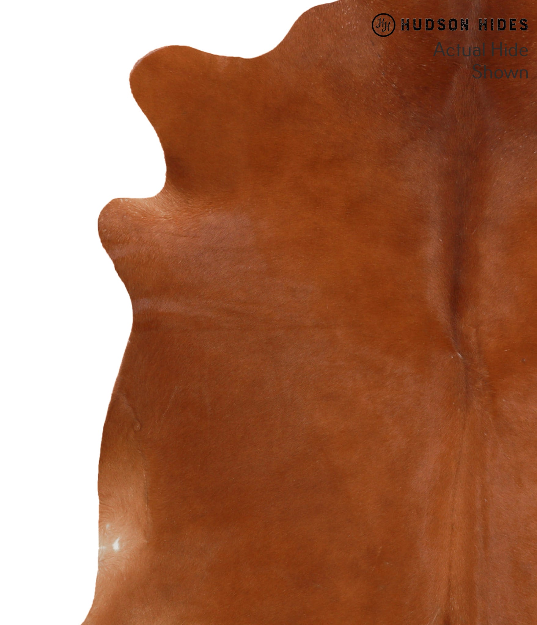 Chocolate Cowhide Rug #50254