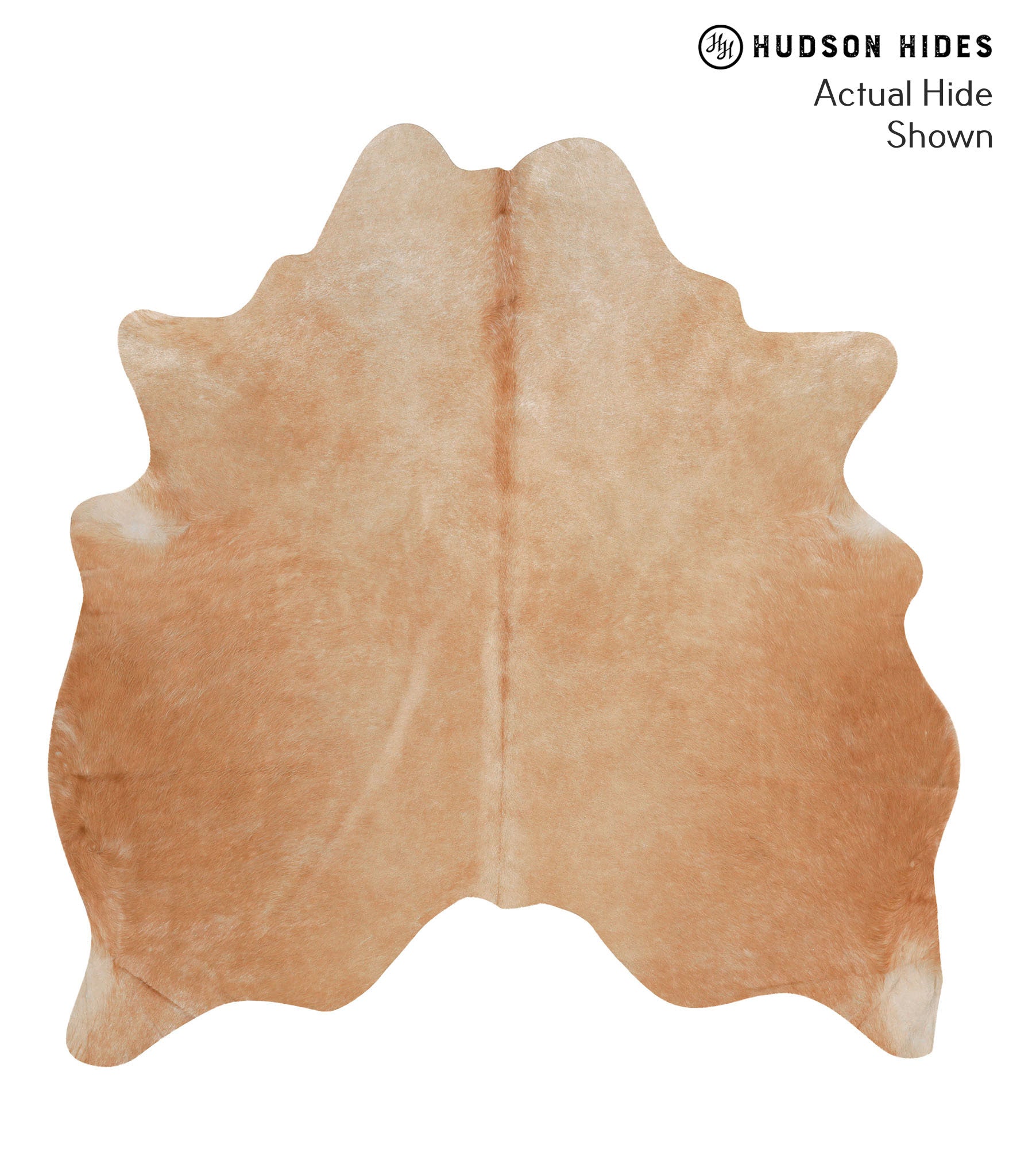 Solid Brown Cowhide Rug #65382