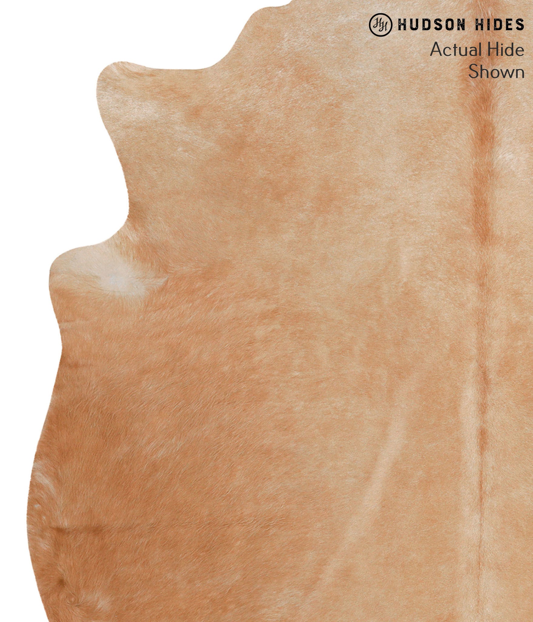 Solid Brown Cowhide Rug #65382