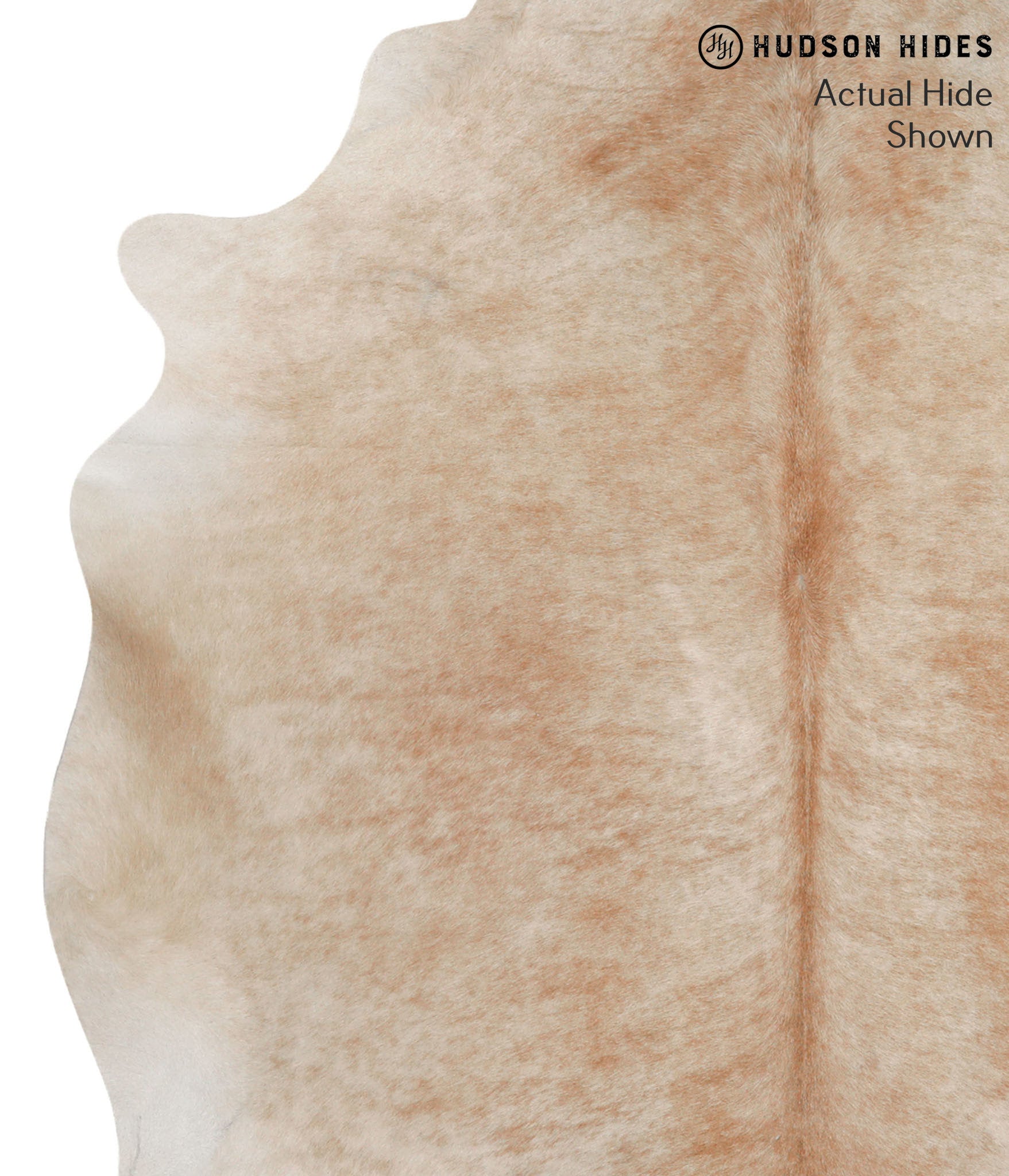 Caramel Cowhide Rug #65483