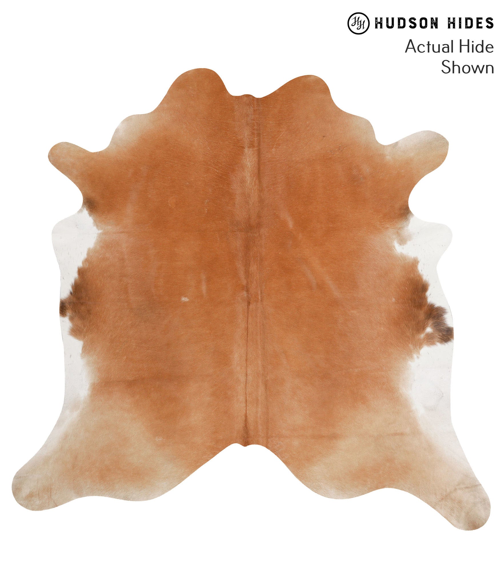 Brown and White Regular Cowhide Rug #65538