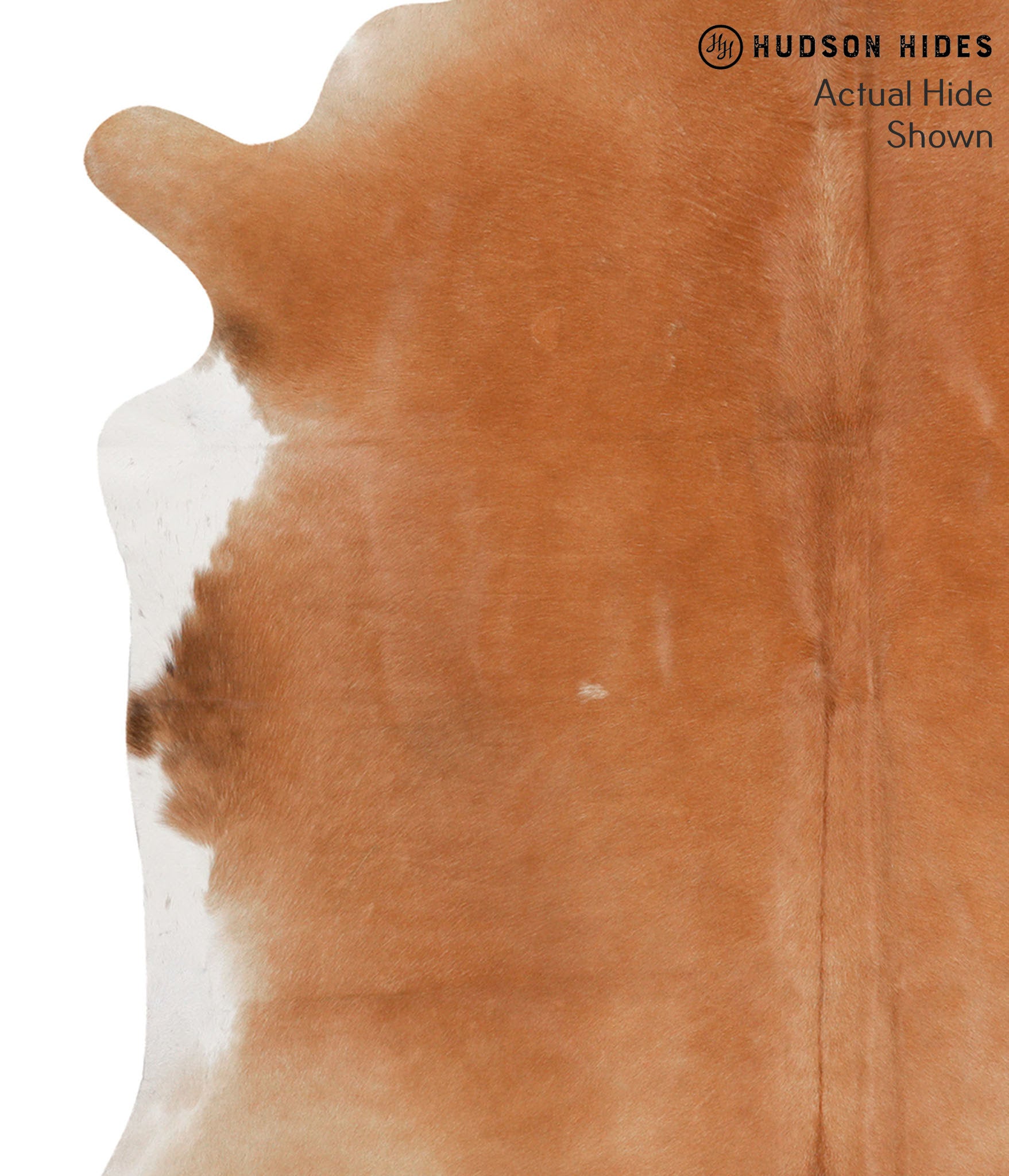 Brown and White Regular Cowhide Rug #65538