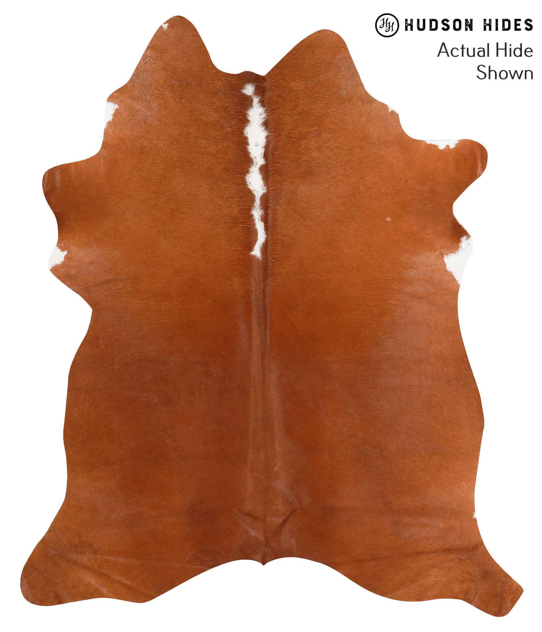 Brown and White Regular Cowhide Rug #65764