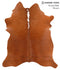 Brown and White Regular X-Large Brazilian Cowhide Rug 7'0