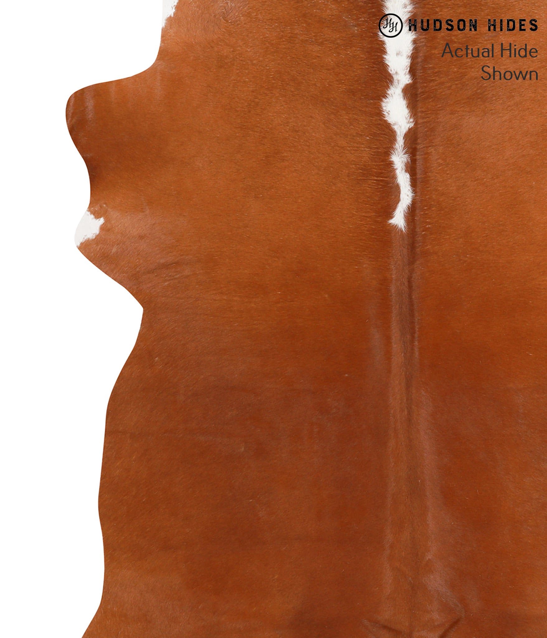 Brown and White Regular Cowhide Rug #65764