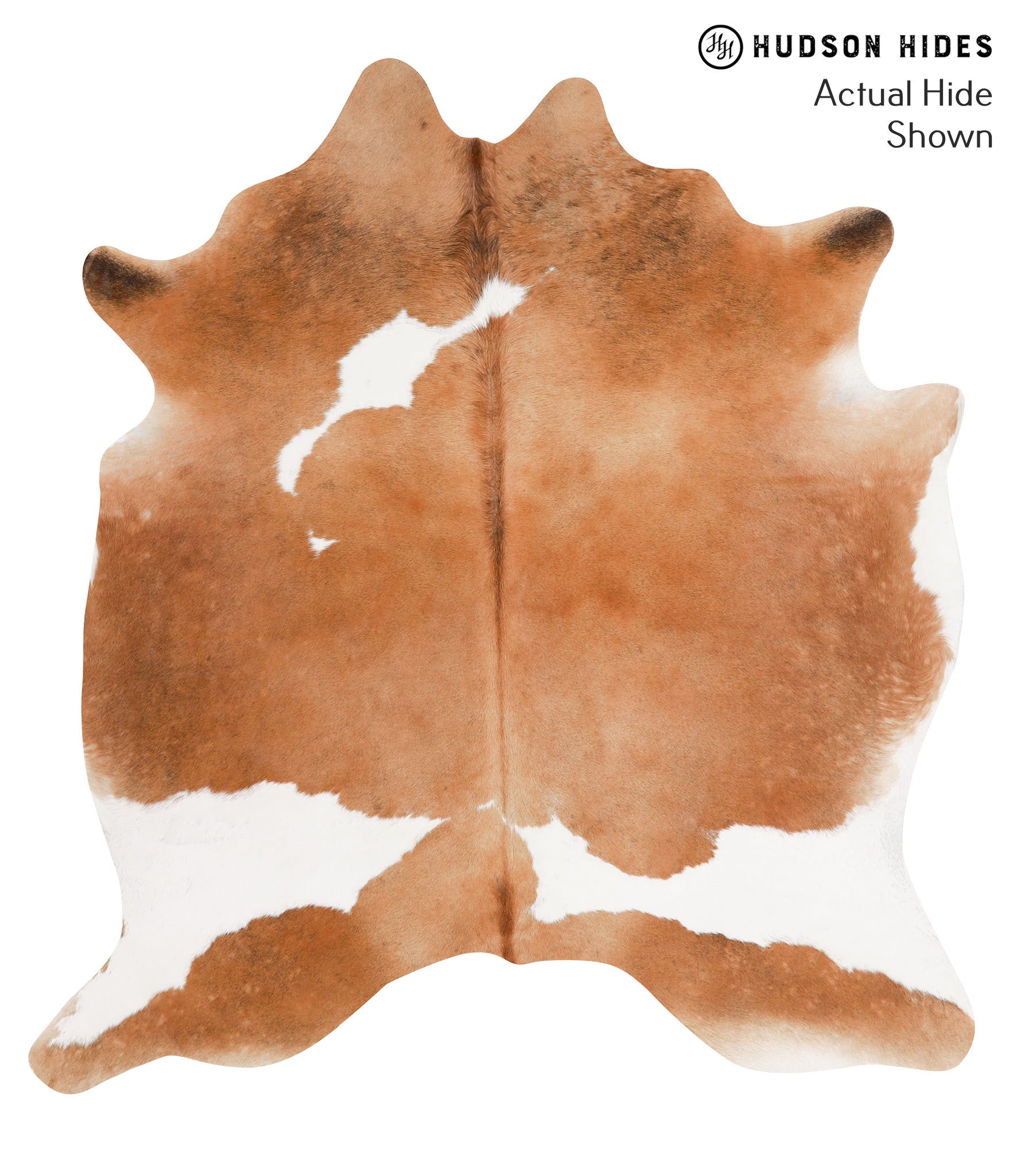 Brown and White Cowhide Rug #65825