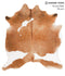 Brown and White X-Large Brazilian Cowhide Rug 6'7