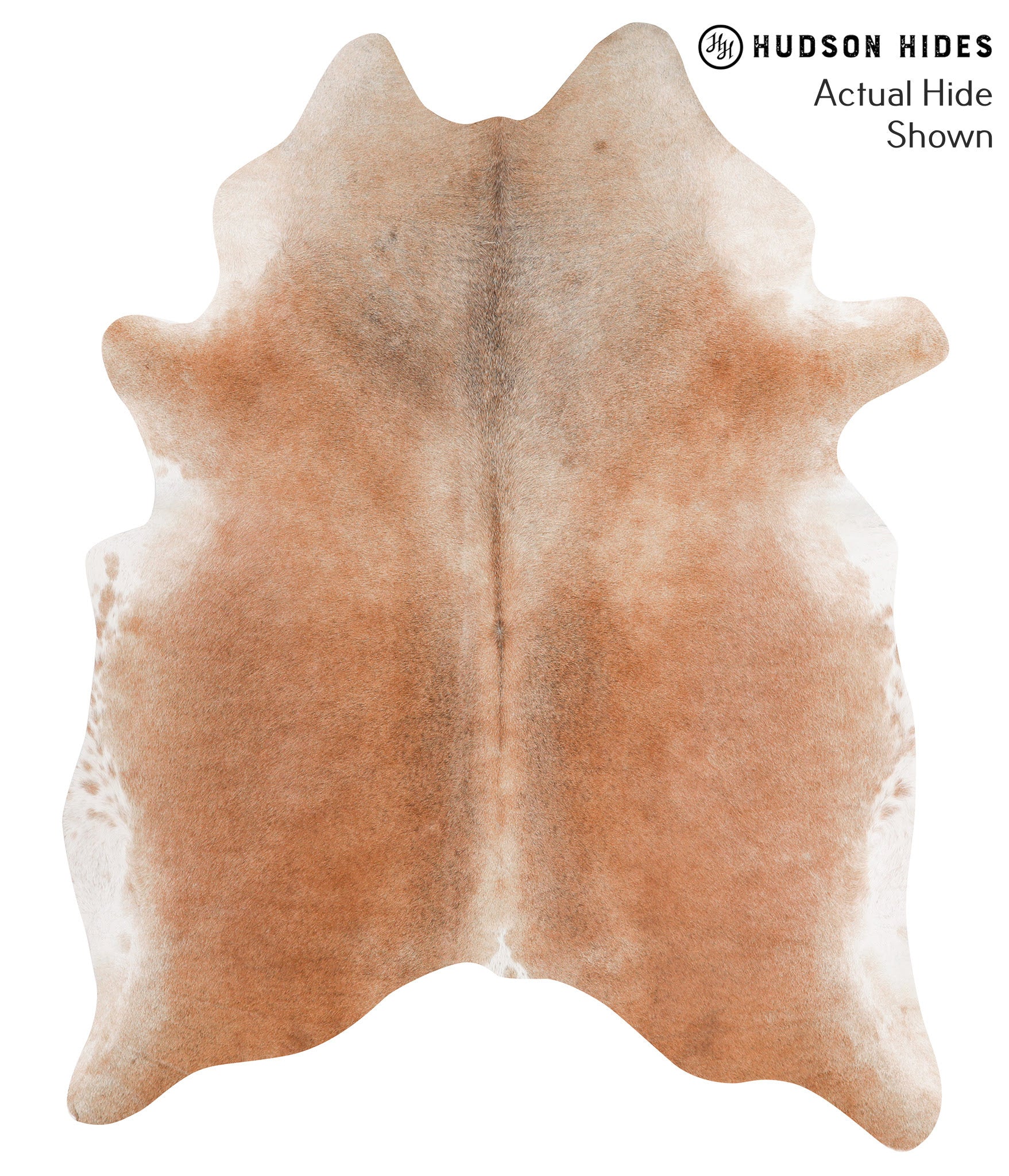 Caramel Cowhide Rug #65837