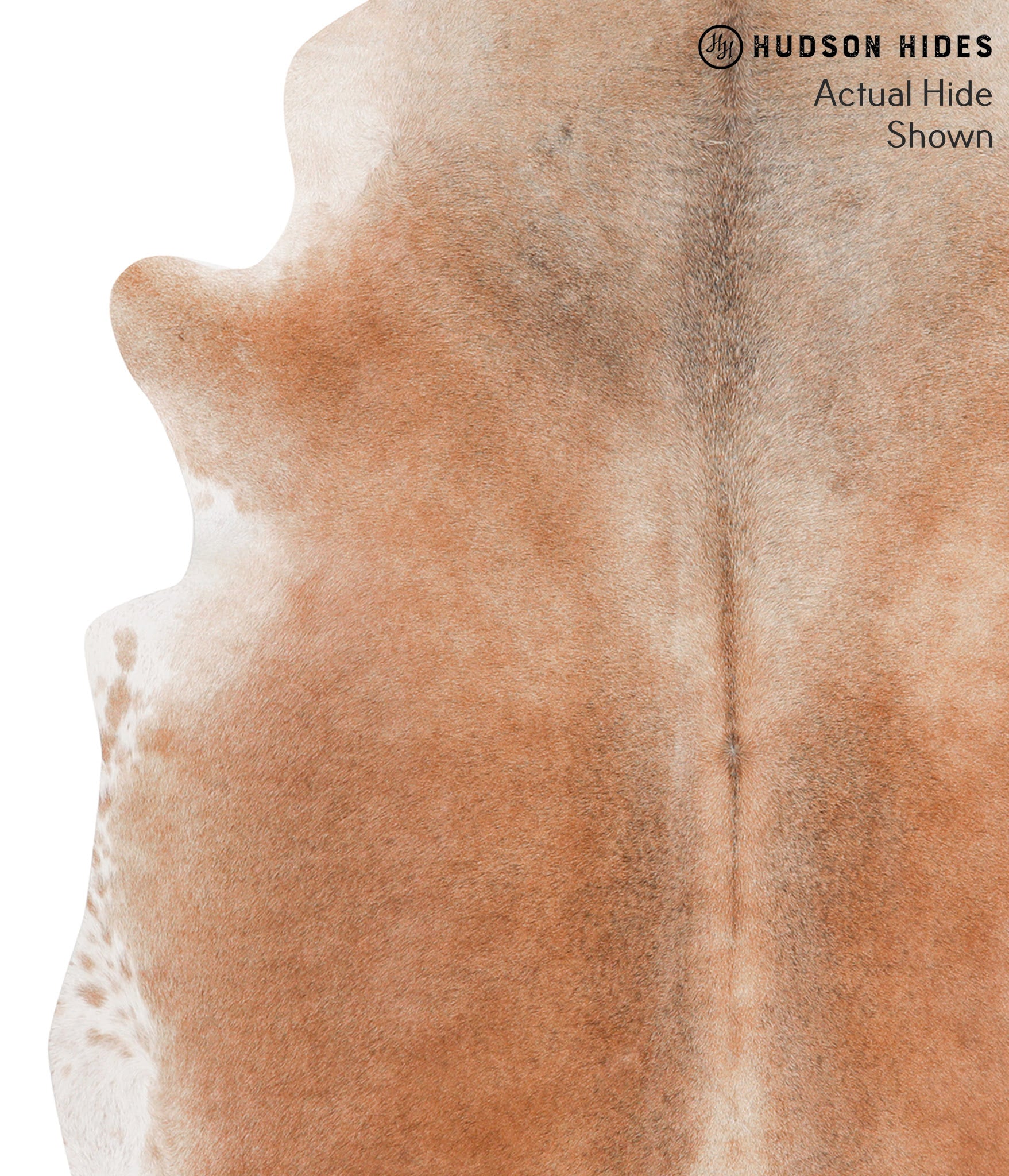 Caramel Cowhide Rug #65837