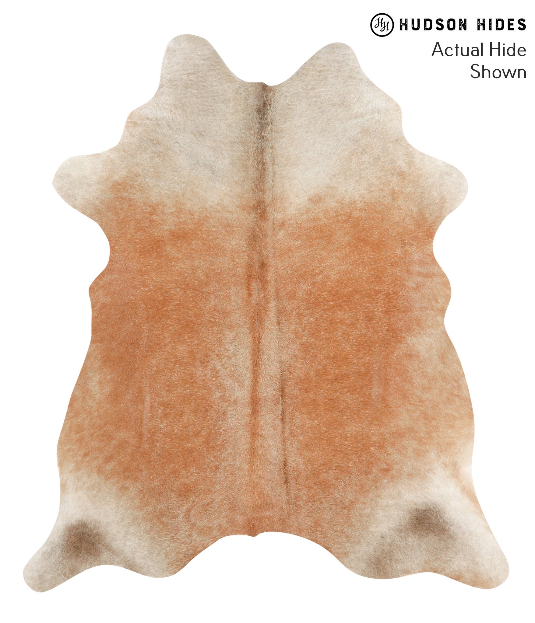 Caramel Cowhide Rug #67074