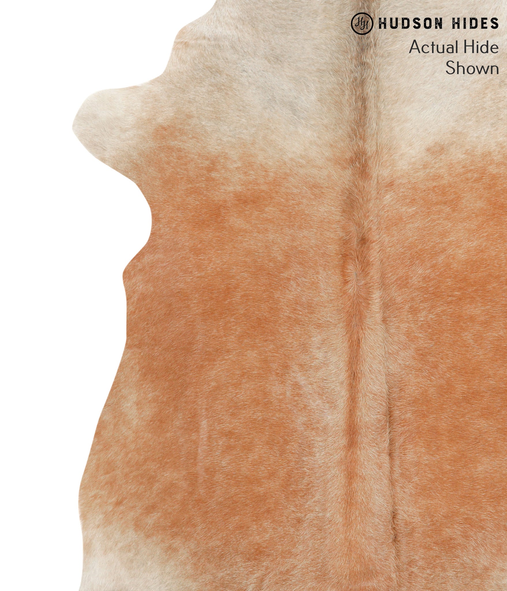 Caramel Cowhide Rug #67074