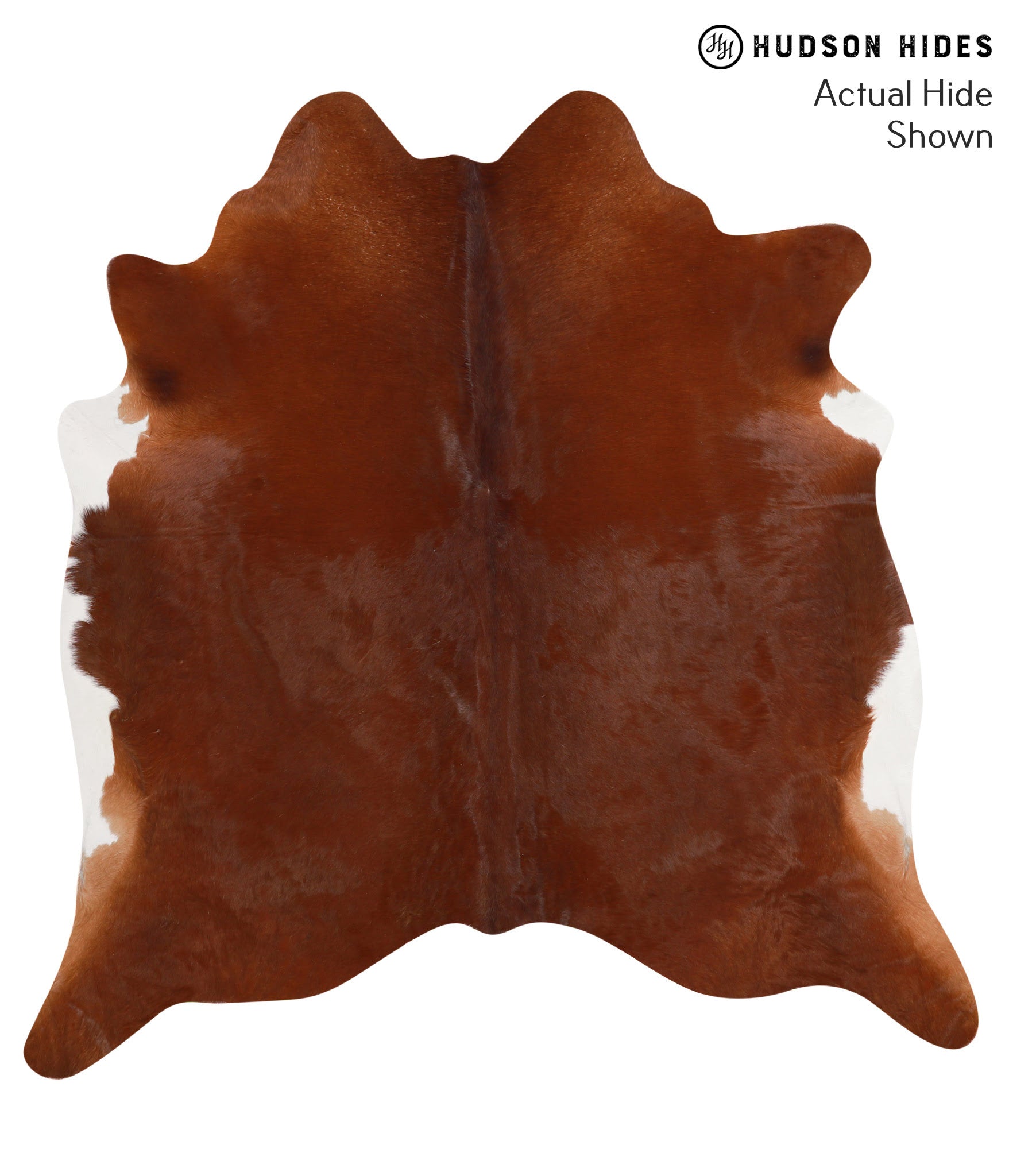 Solid Brown Cowhide Rug #67411