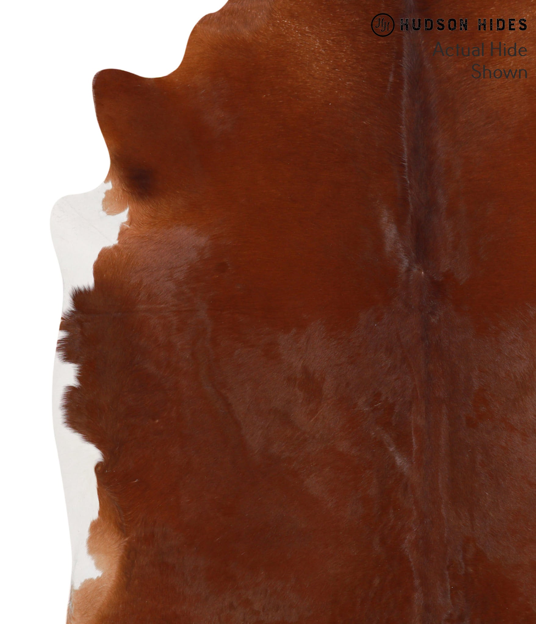 Solid Brown Cowhide Rug #67411