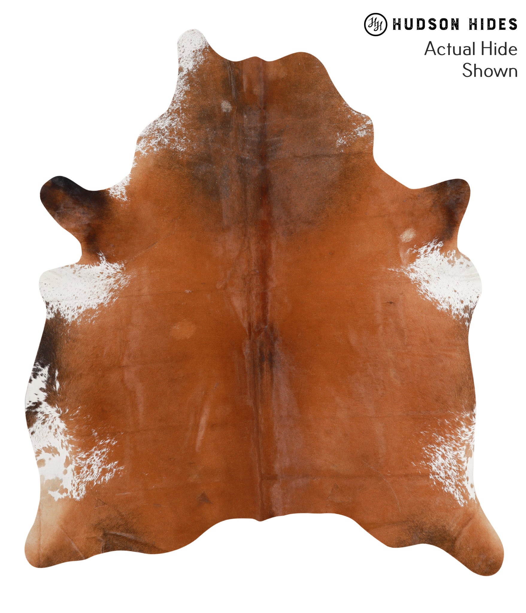 Brown and White Cowhide Rug #67636