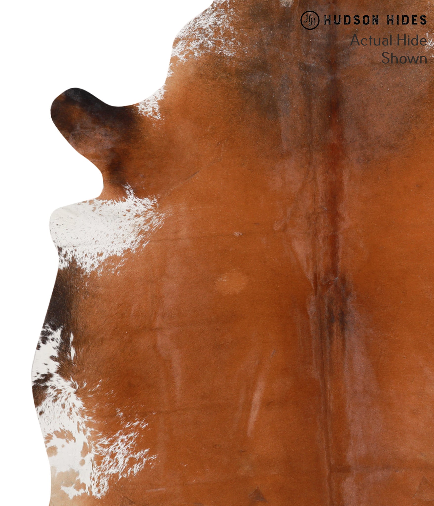 Brown and White Cowhide Rug #67636