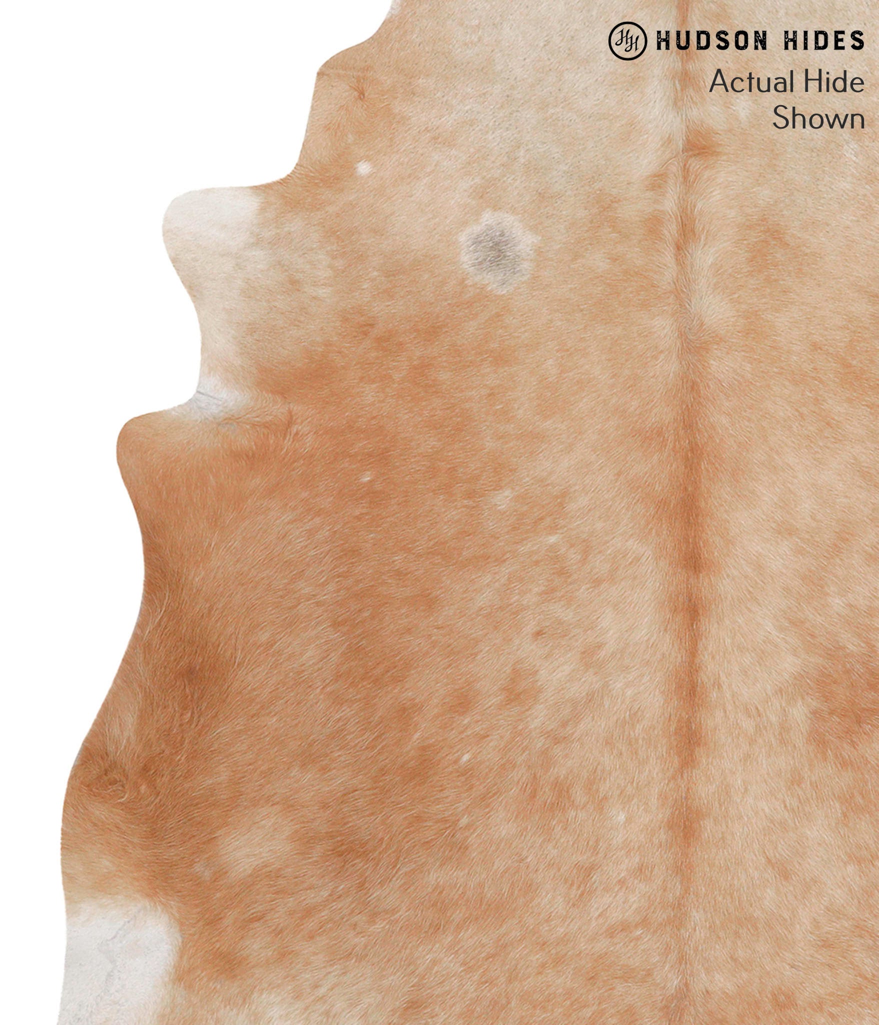 Caramel Cowhide Rug #68093