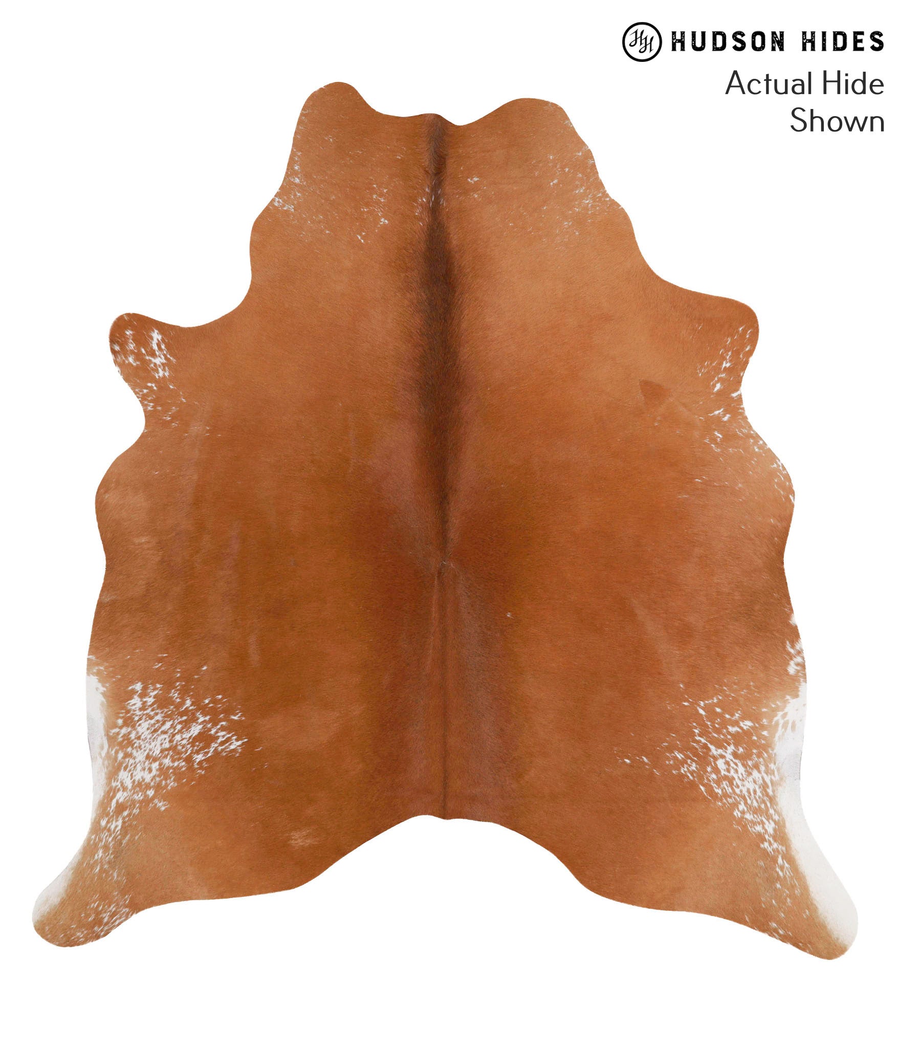 Brown and White Regular Cowhide Rug #68184