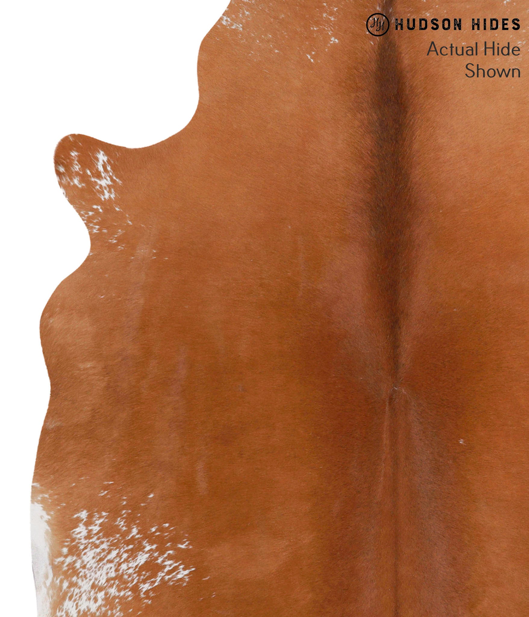 Brown and White Regular Cowhide Rug #68184