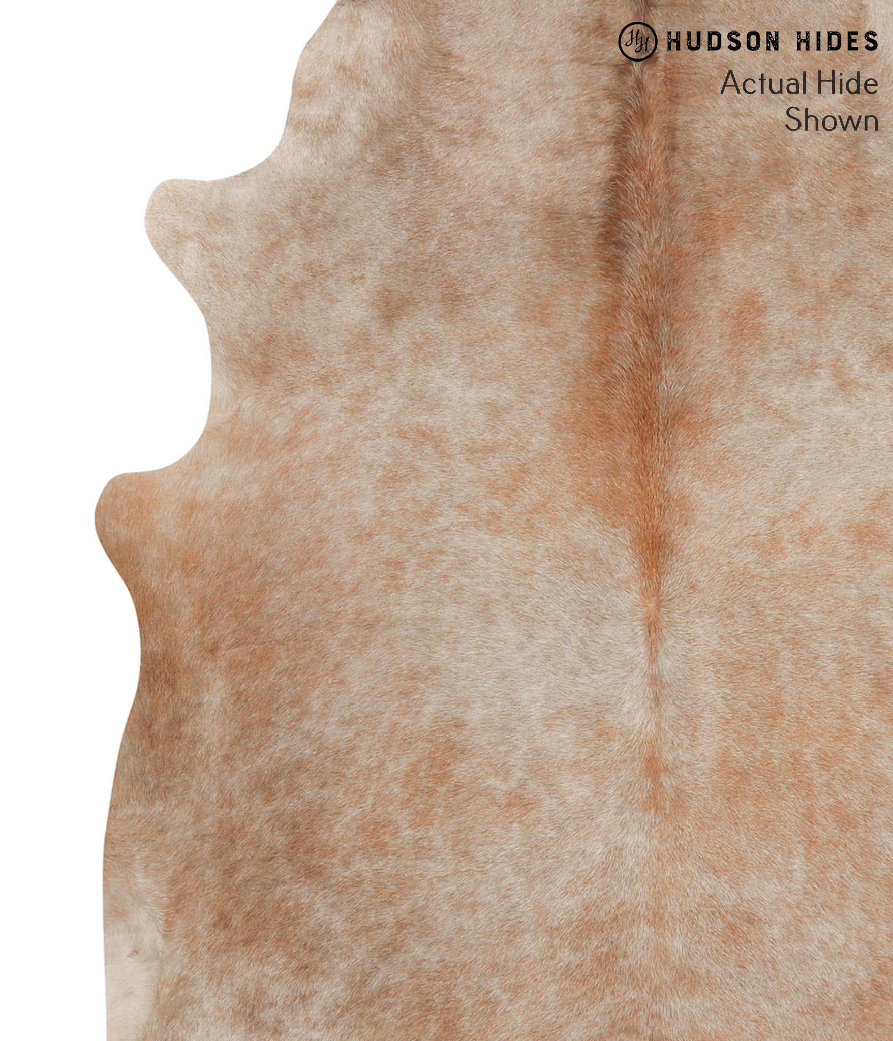 Caramel Cowhide Rug #68836