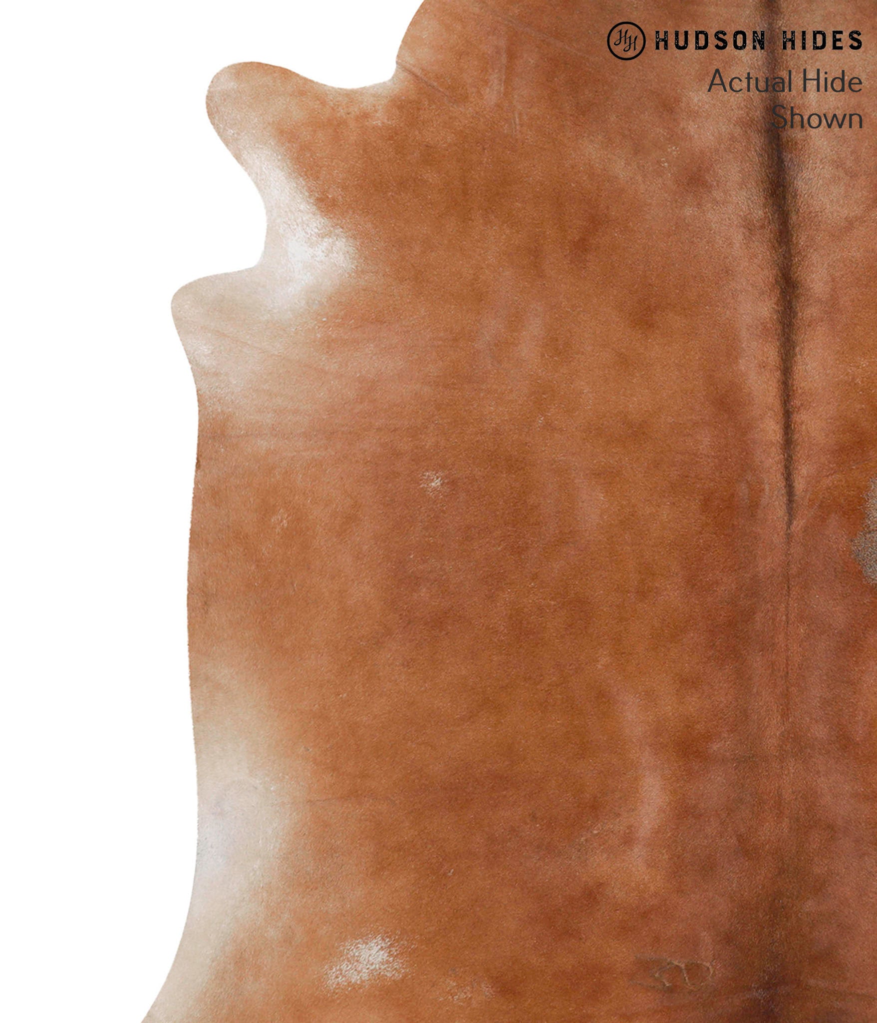 Solid Brown Cowhide Rug #70269