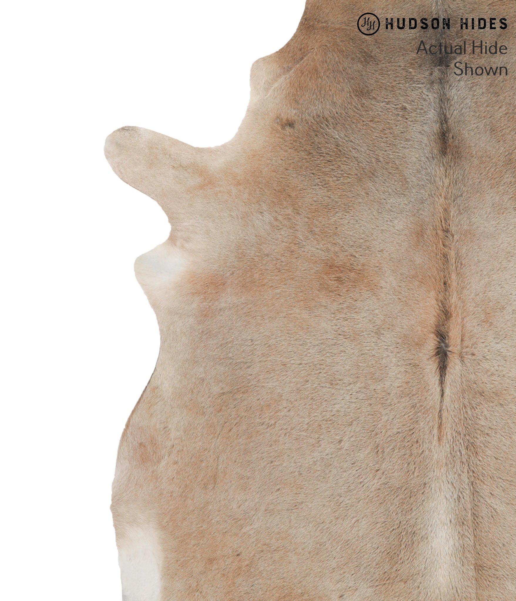 Grey with Beige Cowhide Rug #70864