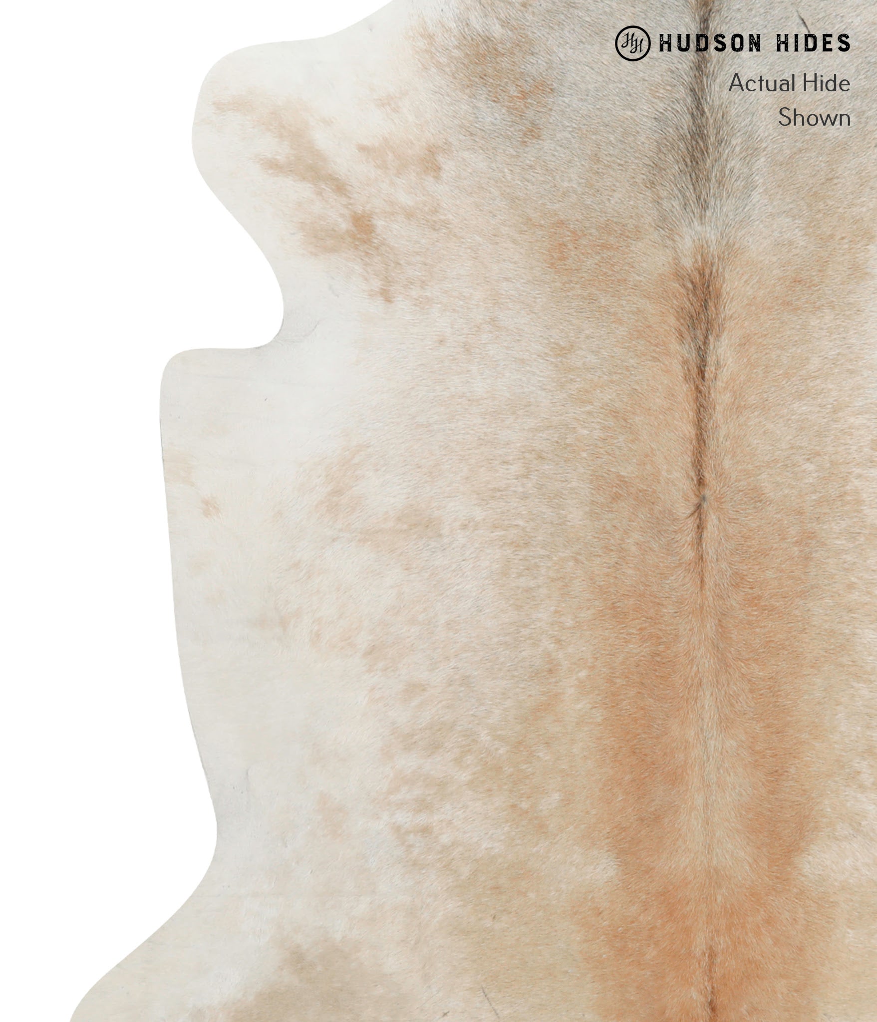 Caramel Cowhide Rug #79997