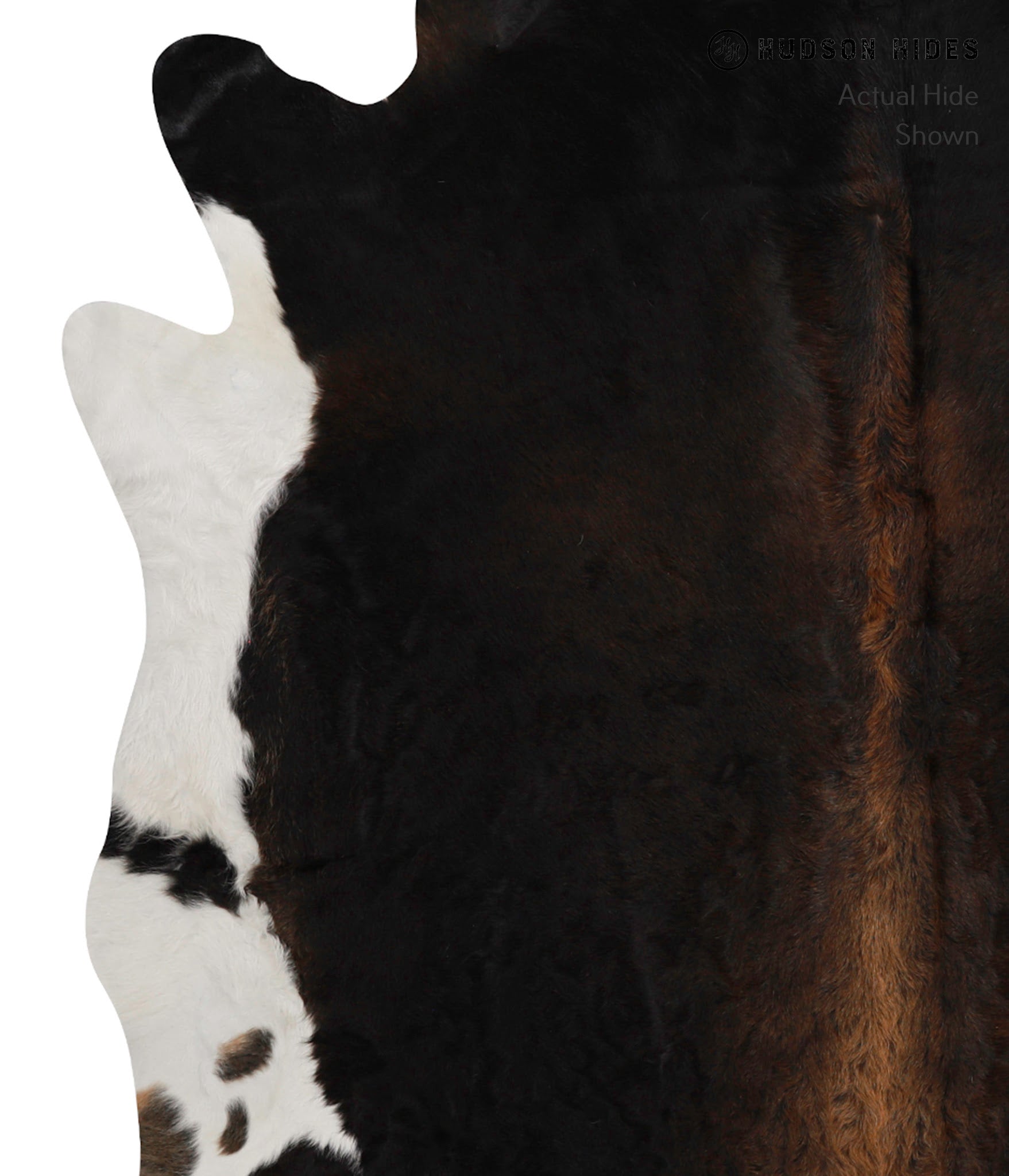 Chocolate Cowhide Rug #81854