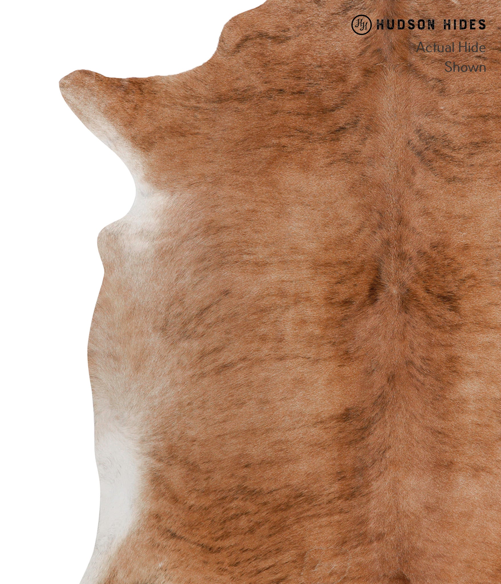 Medium Brindle Cowhide Rug #82107