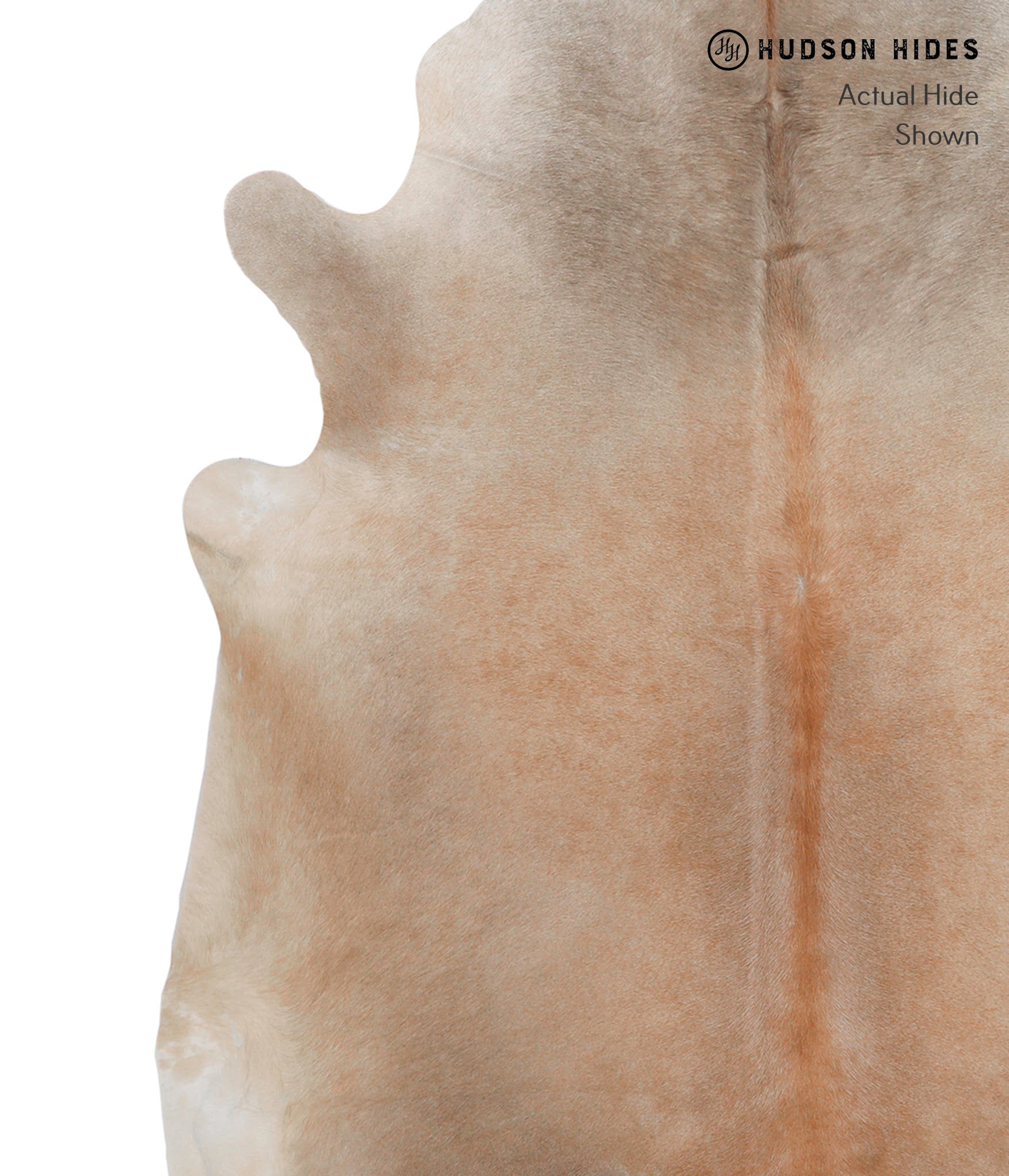 Caramel Cowhide Rug #82427