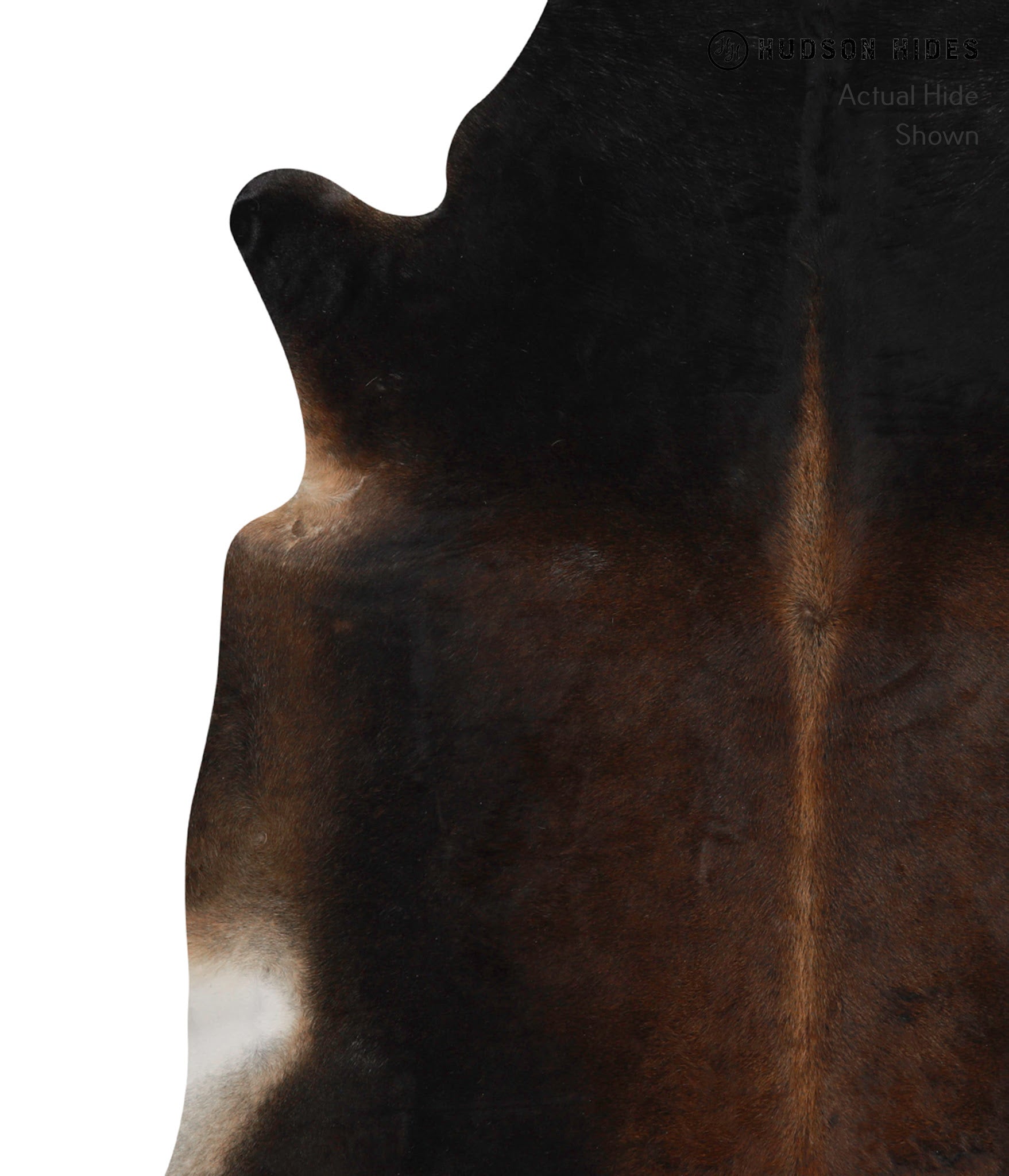 Chocolate Cowhide Rug #82712