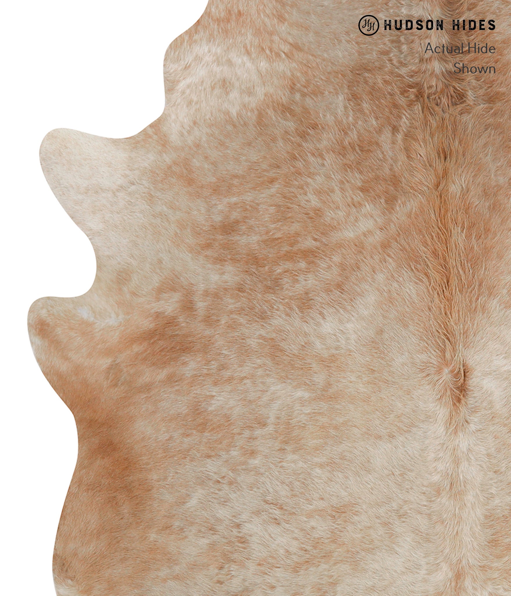 Caramel Cowhide Rug #82839