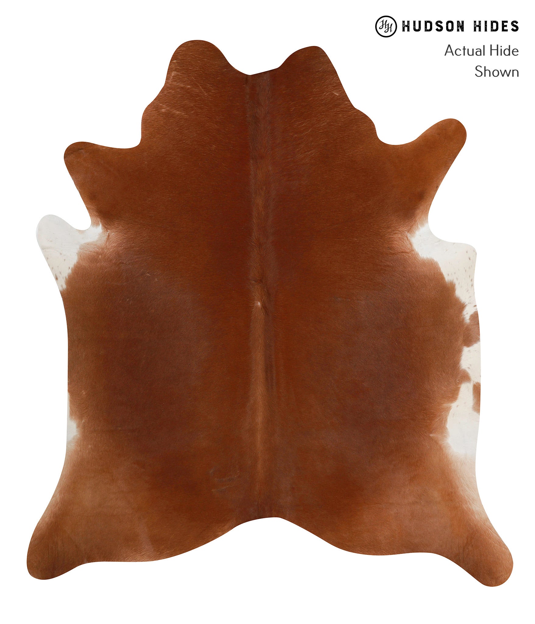 Solid Brown Cowhide Rug #82853