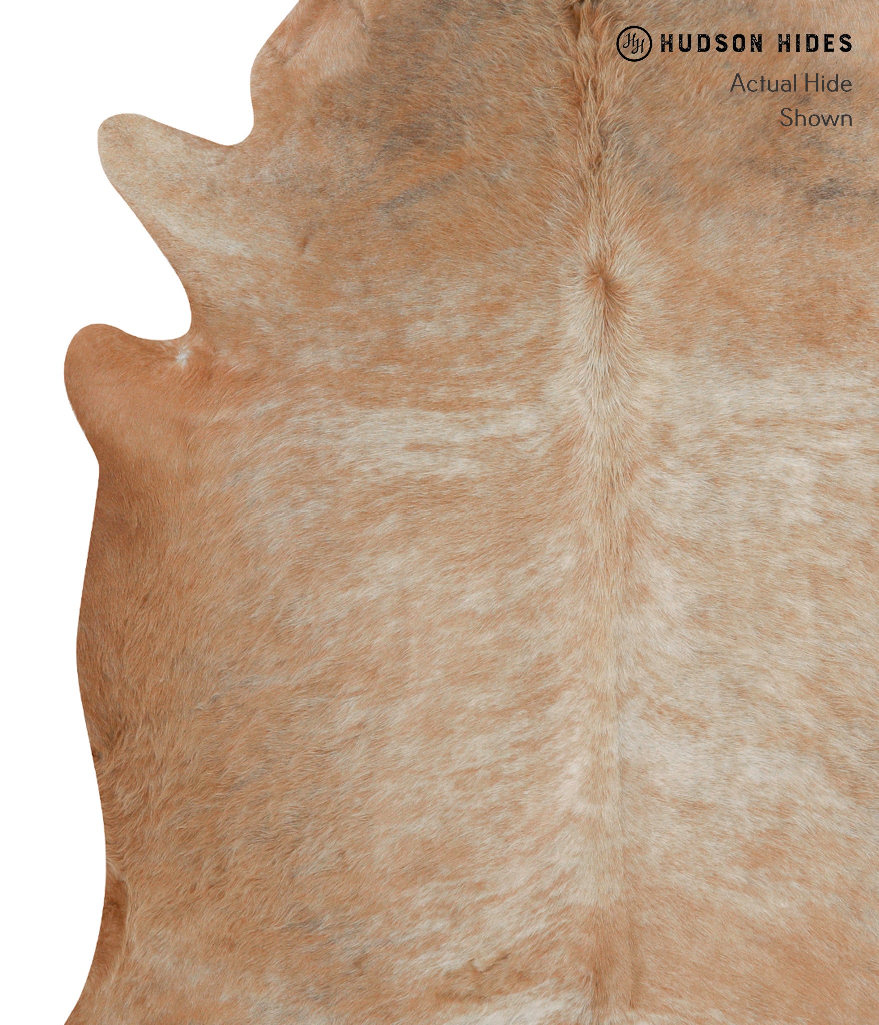 Caramel Cowhide Rug #82952