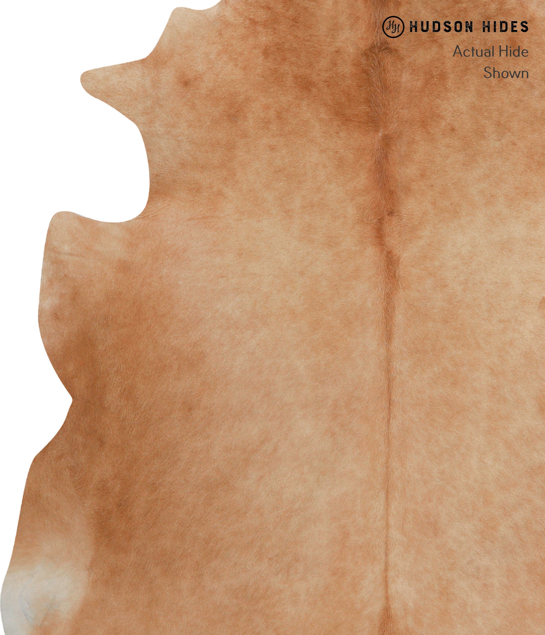 Solid Brown Cowhide Rug #82955