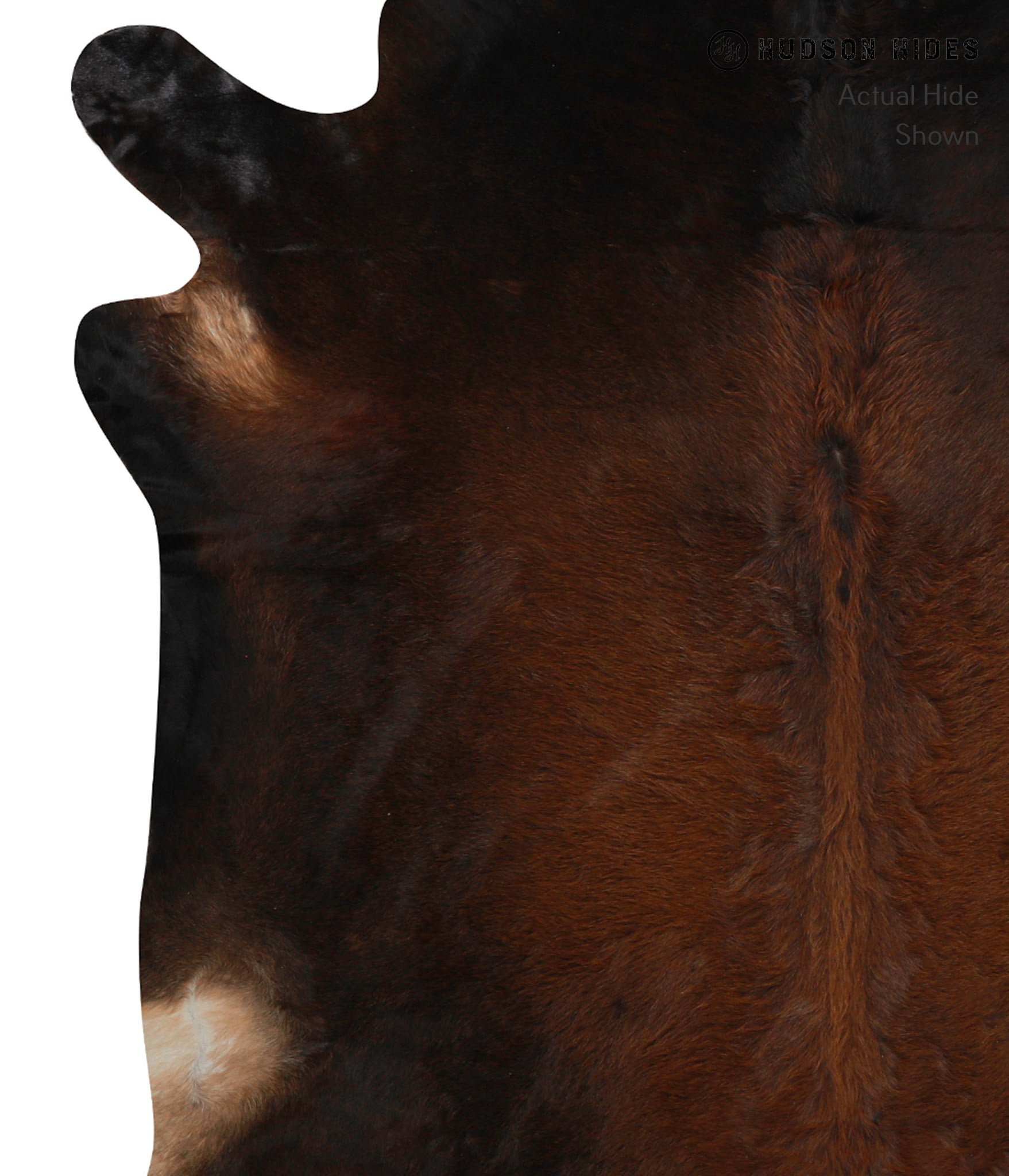 Caramel Cowhide Rug #83007