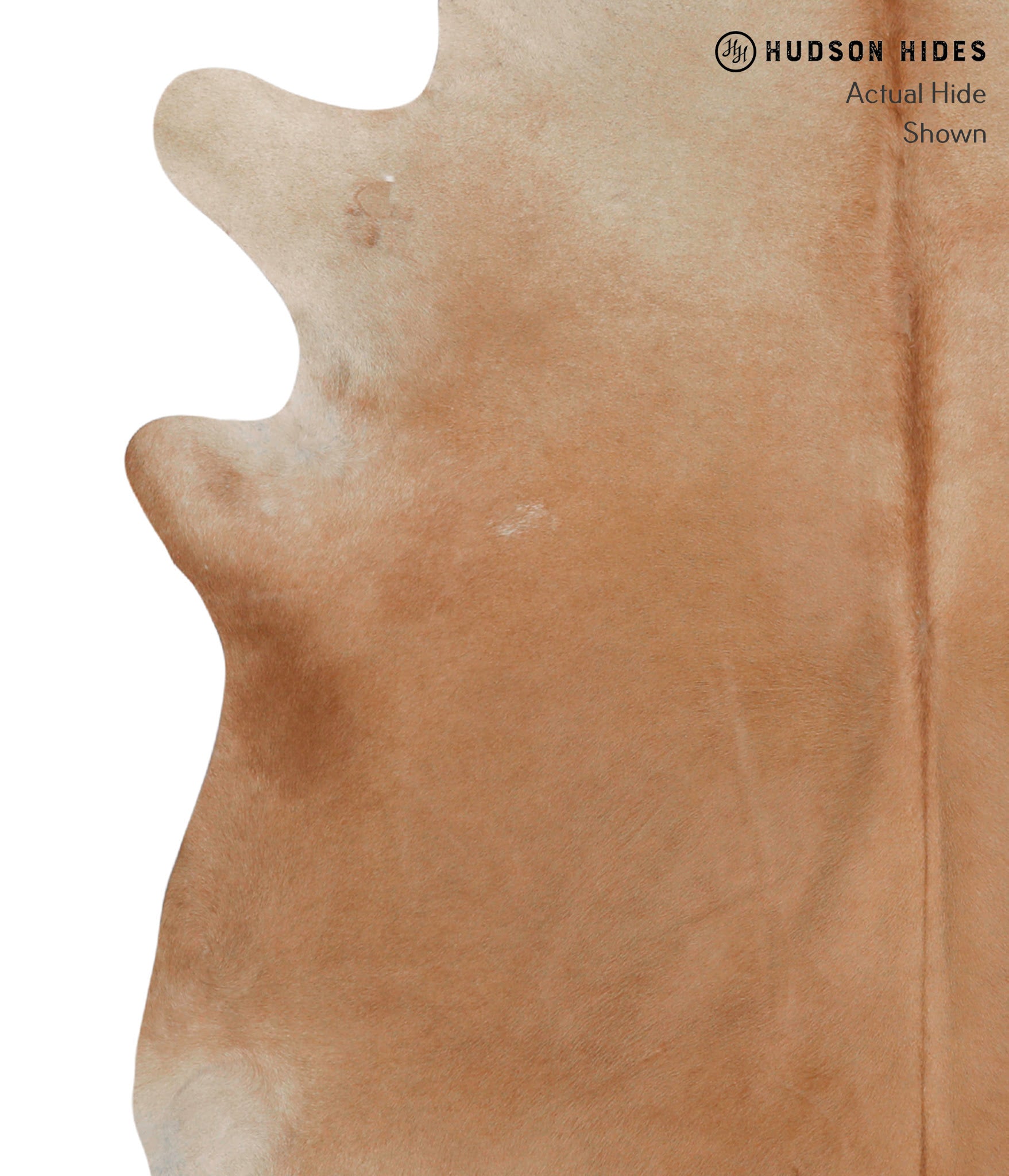 Solid Brown Cowhide Rug #83071