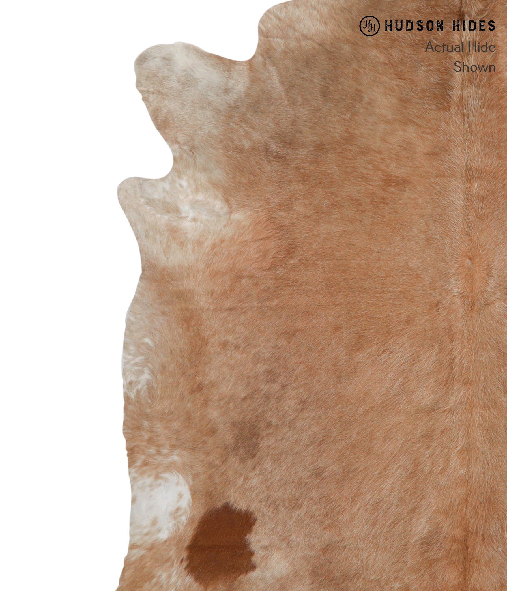 Caramel Cowhide Rug #83153