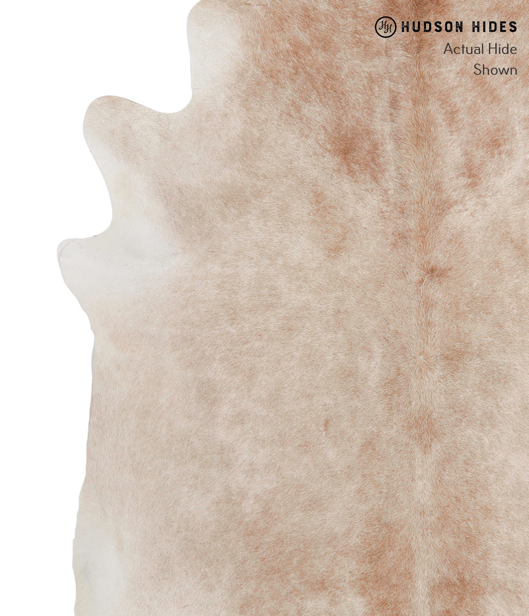 Caramel Cowhide Rug #83162