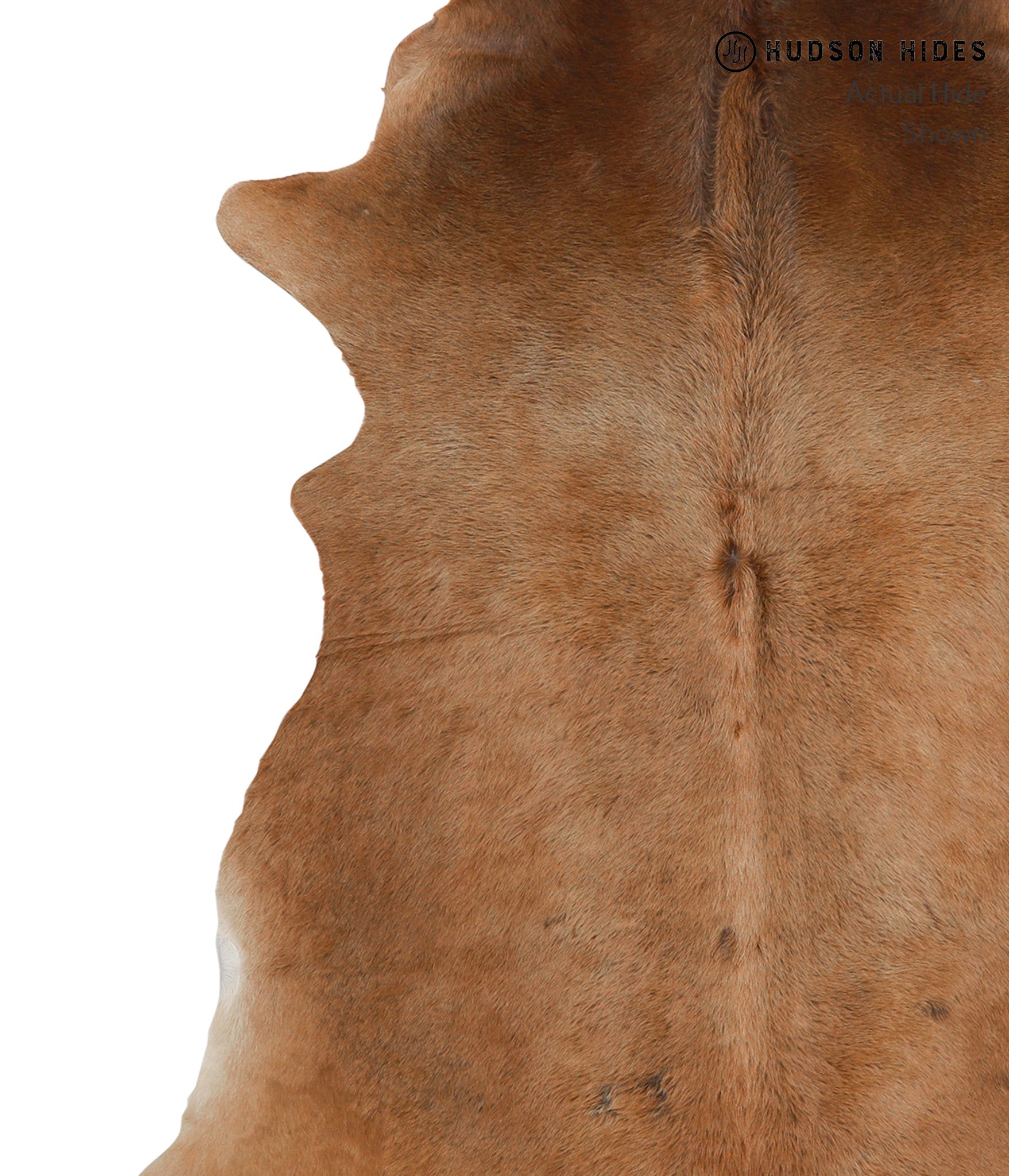 Caramel Cowhide Rug #83241