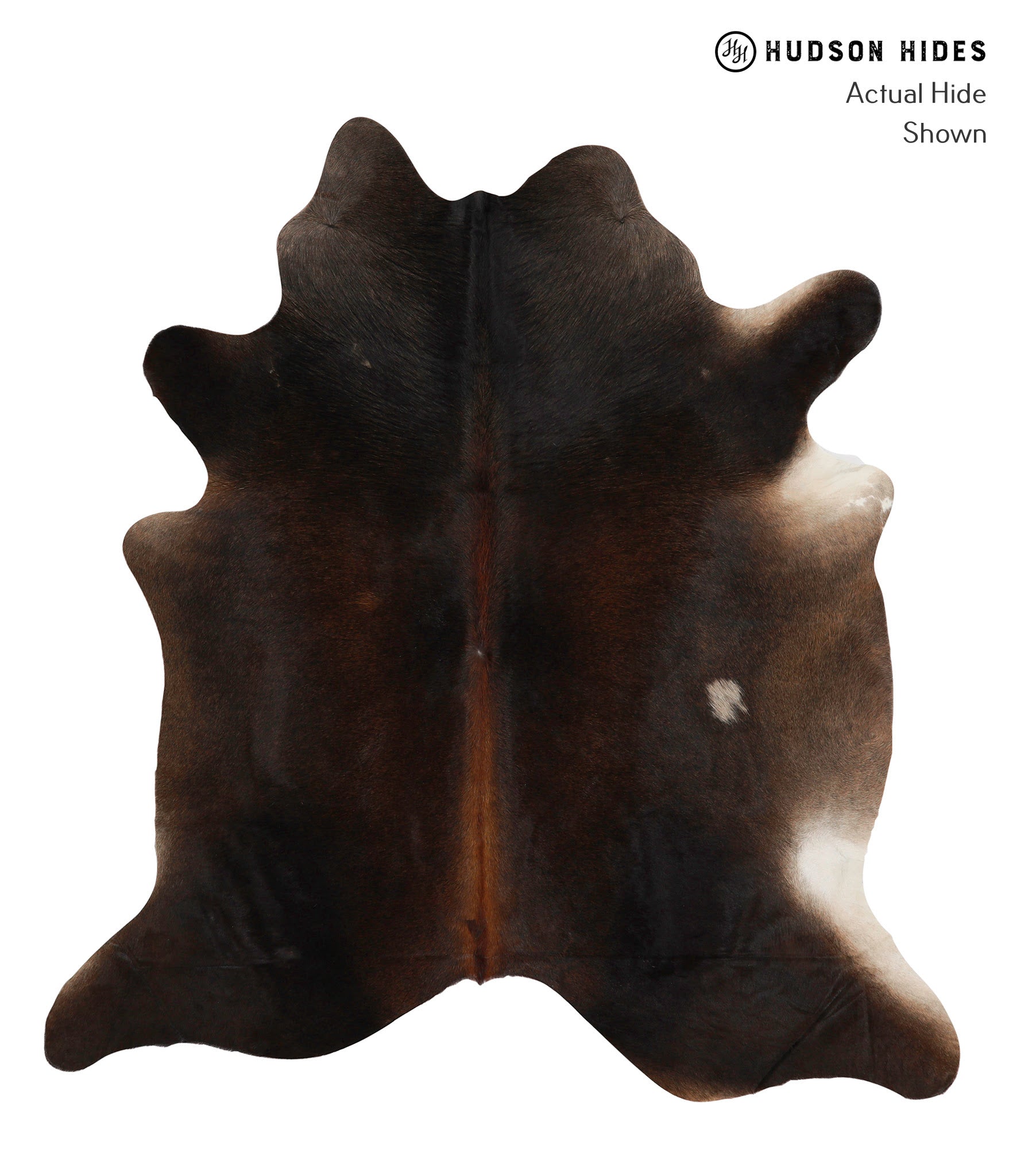 Chocolate Cowhide Rug #83322