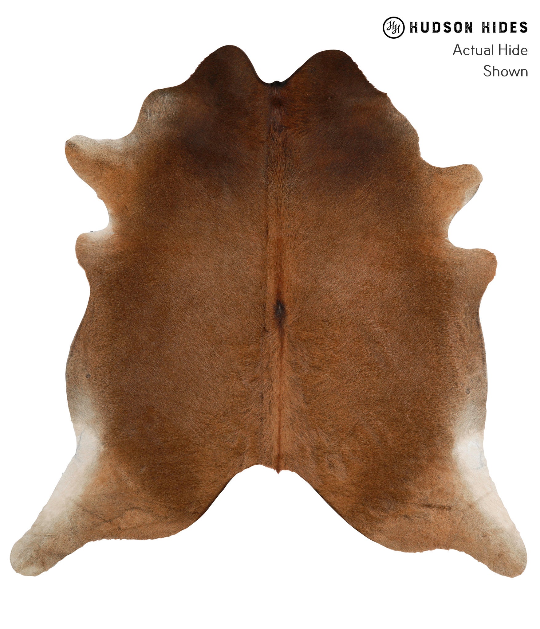 Solid Brown Cowhide Rug #83348