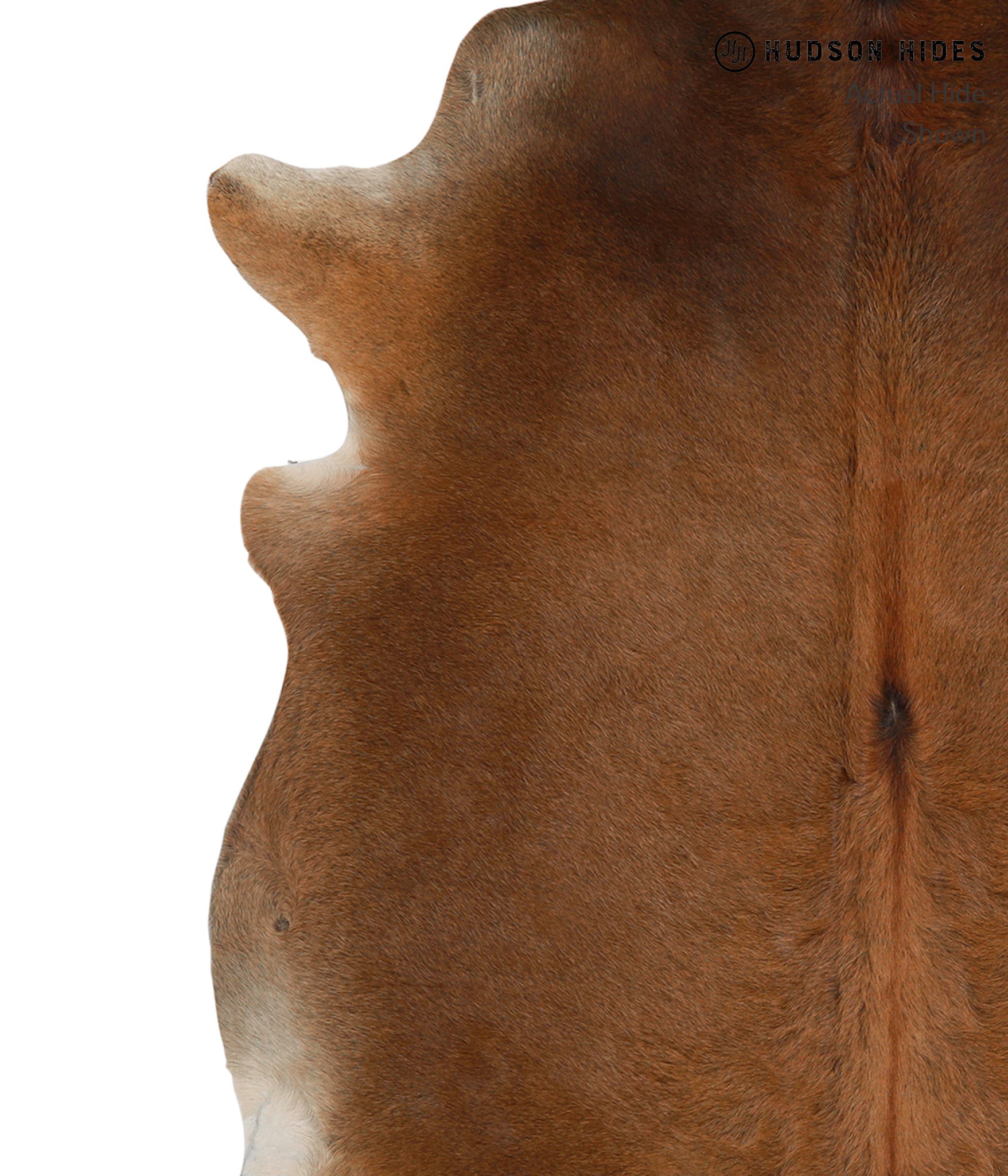 Solid Brown Cowhide Rug #83348